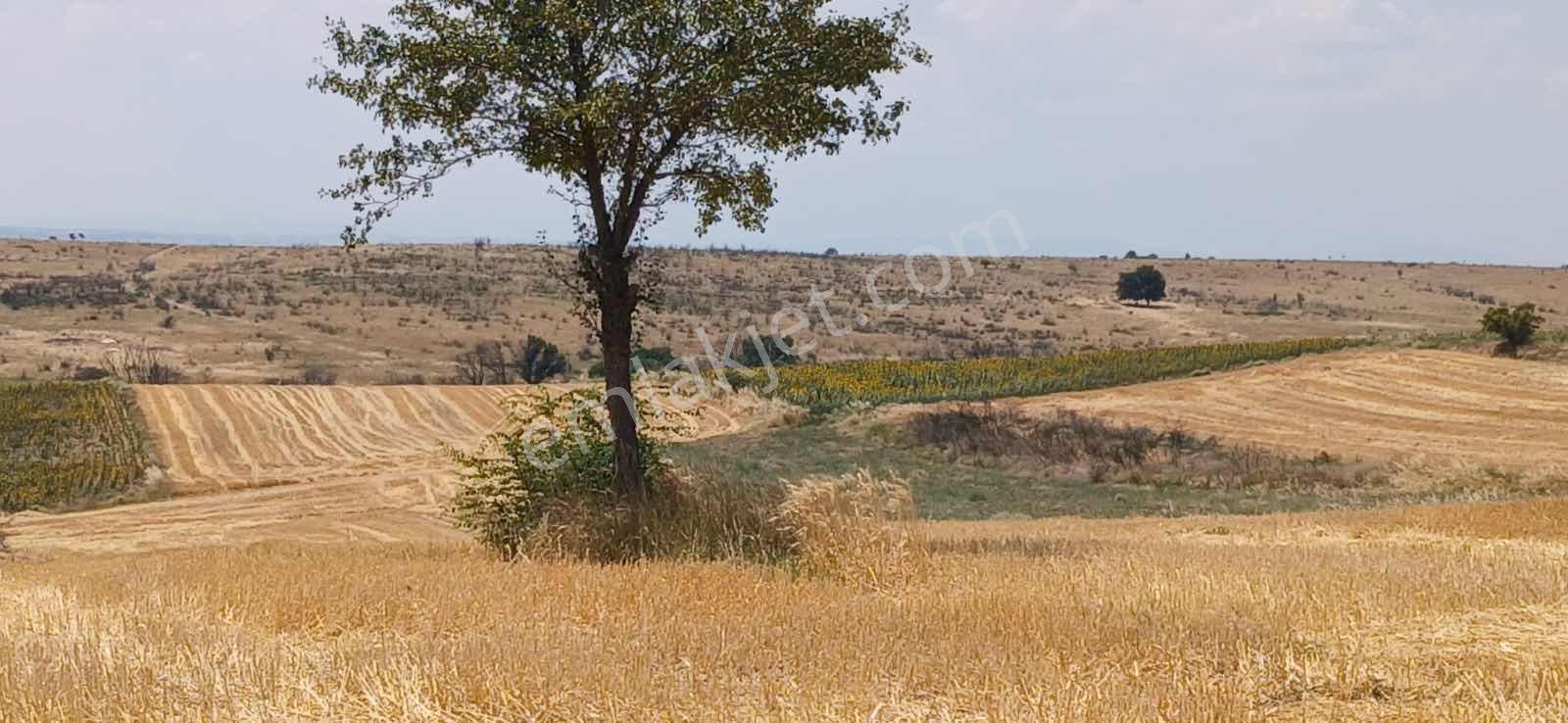 Edirne Orhaniye Mh. 8520 M. Tarla Yatırıma Uygun Satılık — fotoğraf 11