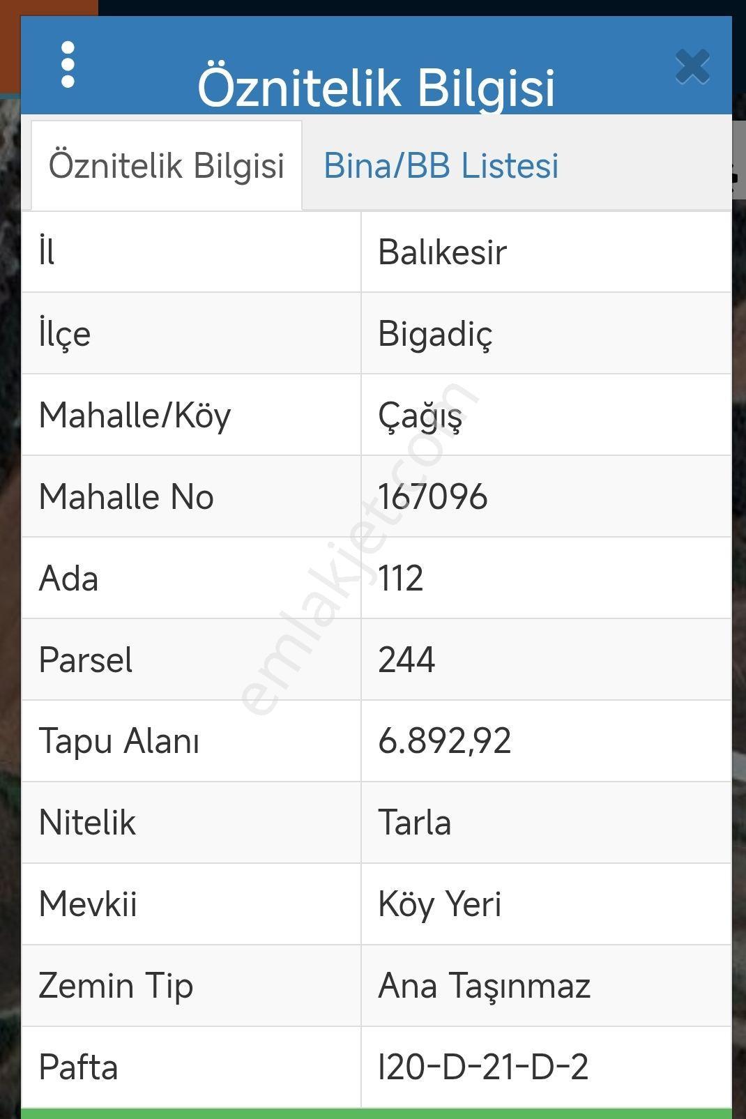 Balıkesir Bigadiç Çağışta Chandler Ceviz Bahçesi — fotoğraf 8