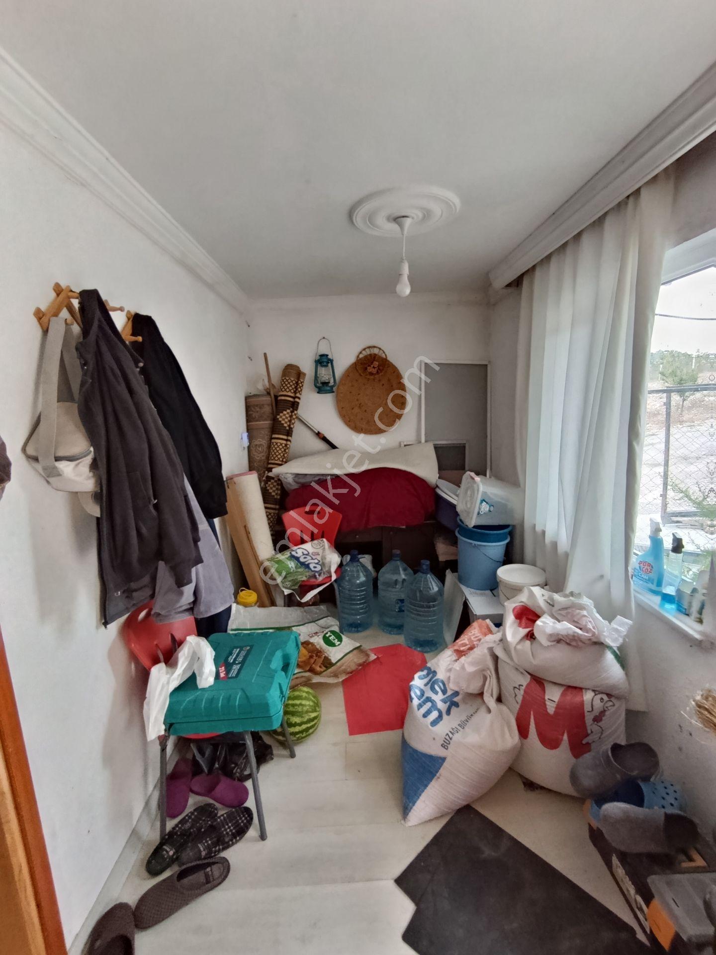 Balıkesir Bigadiç Çağışta Chandler Ceviz Bahçesi — fotoğraf 14