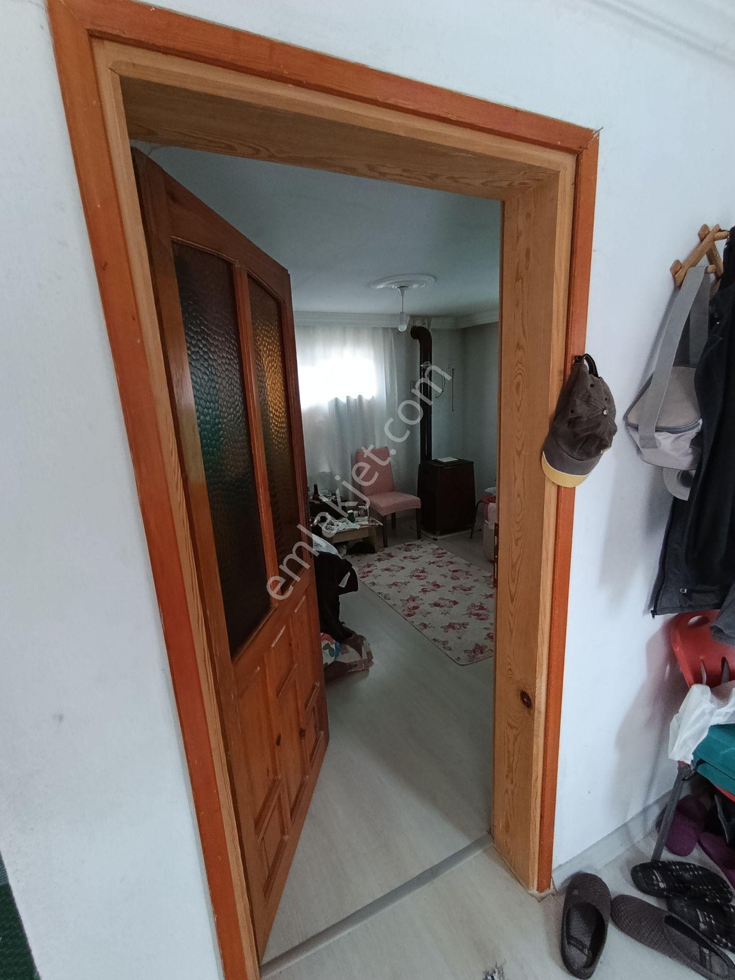Balıkesir Bigadiç Çağışta Chandler Ceviz Bahçesi — fotoğraf 15