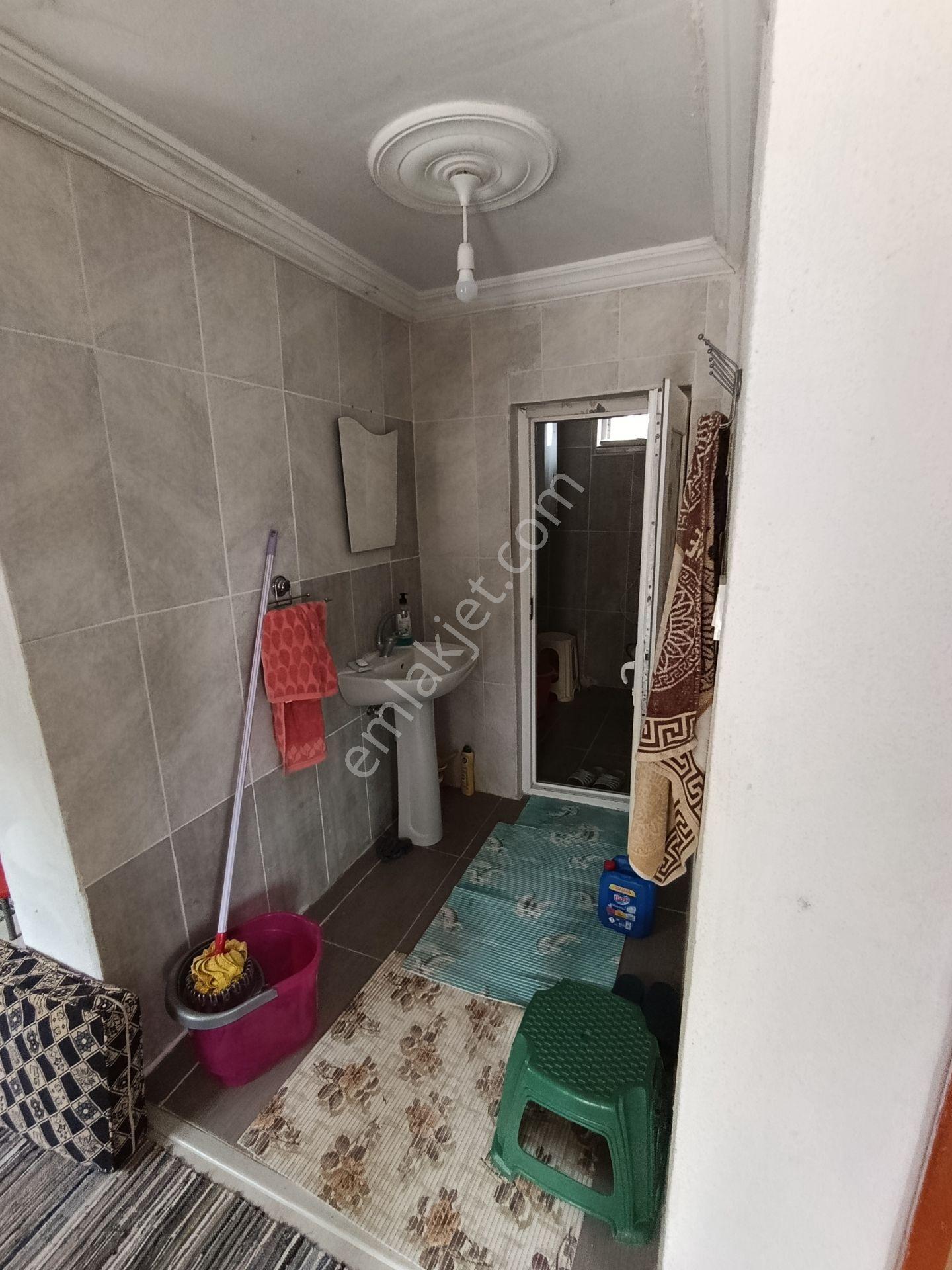 Balıkesir Bigadiç Çağışta Chandler Ceviz Bahçesi — fotoğraf 16