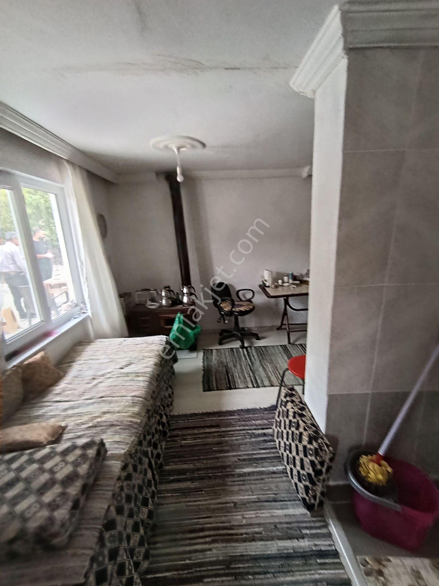 Balıkesir Bigadiç Çağışta Chandler Ceviz Bahçesi — fotoğraf 17