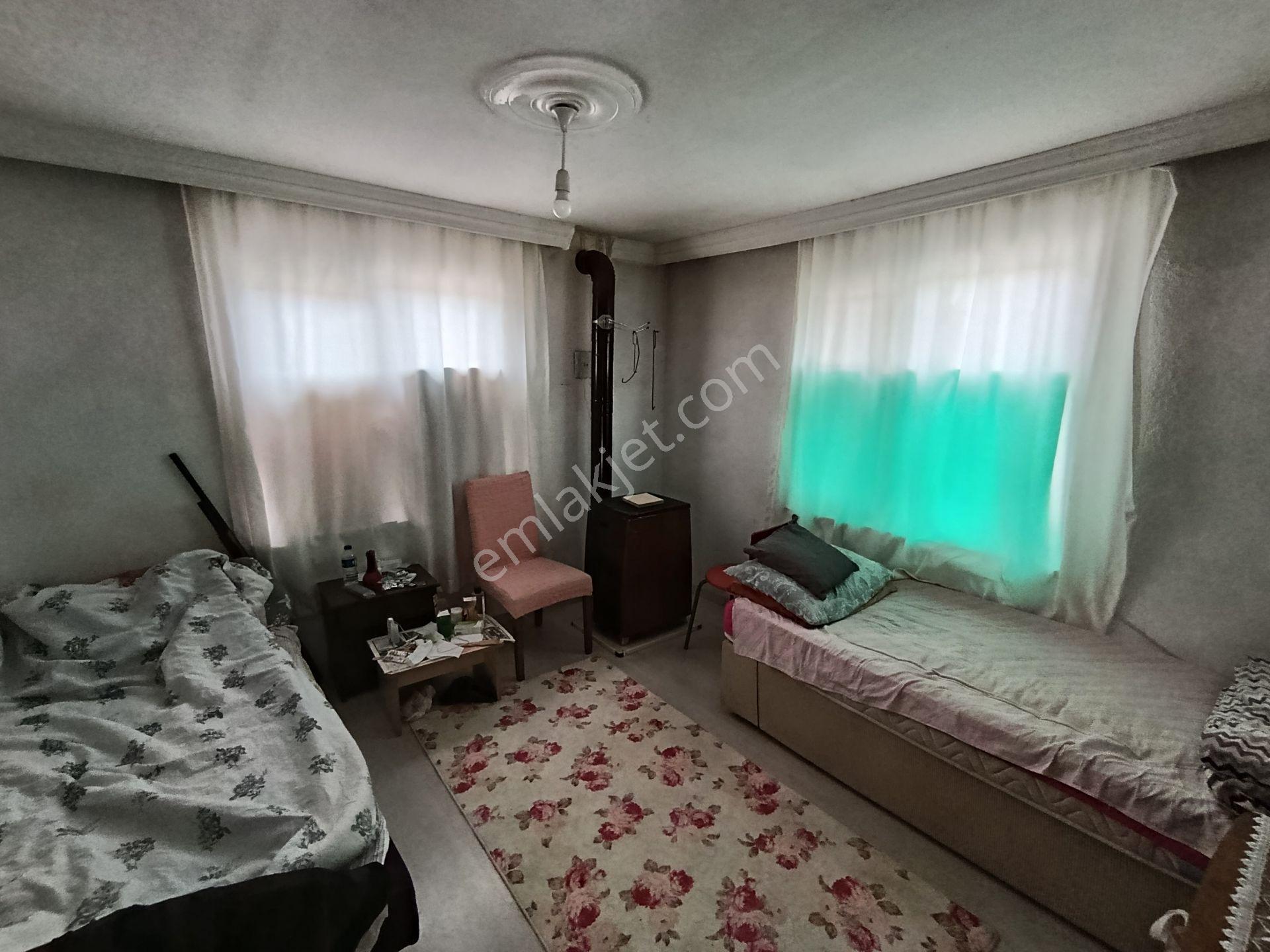 Balıkesir Bigadiç Çağışta Chandler Ceviz Bahçesi — fotoğraf 18