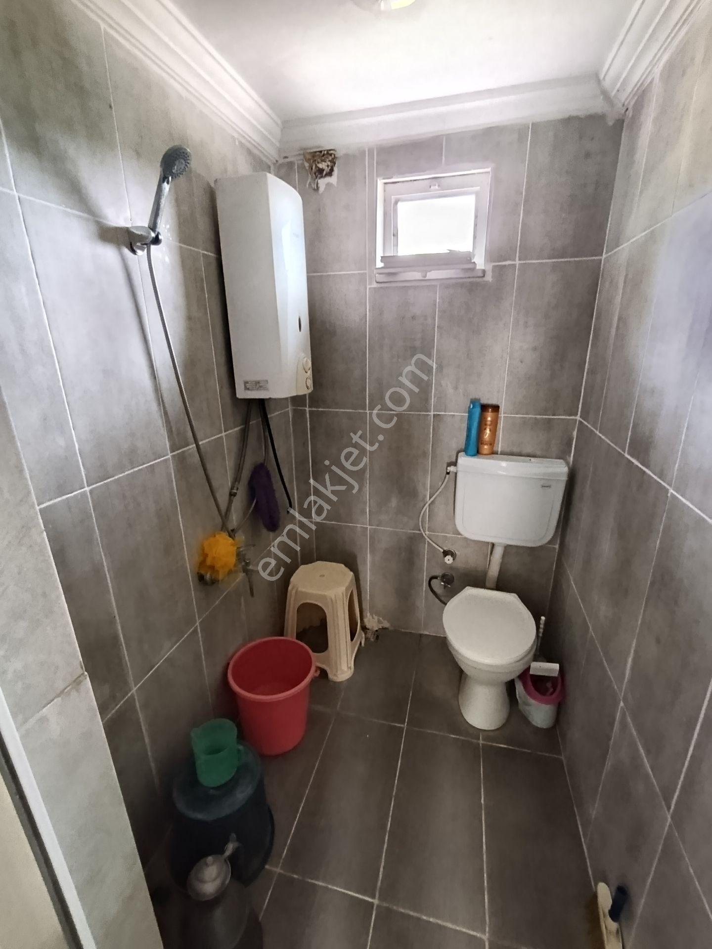 Balıkesir Bigadiç Çağışta Chandler Ceviz Bahçesi — fotoğraf 19