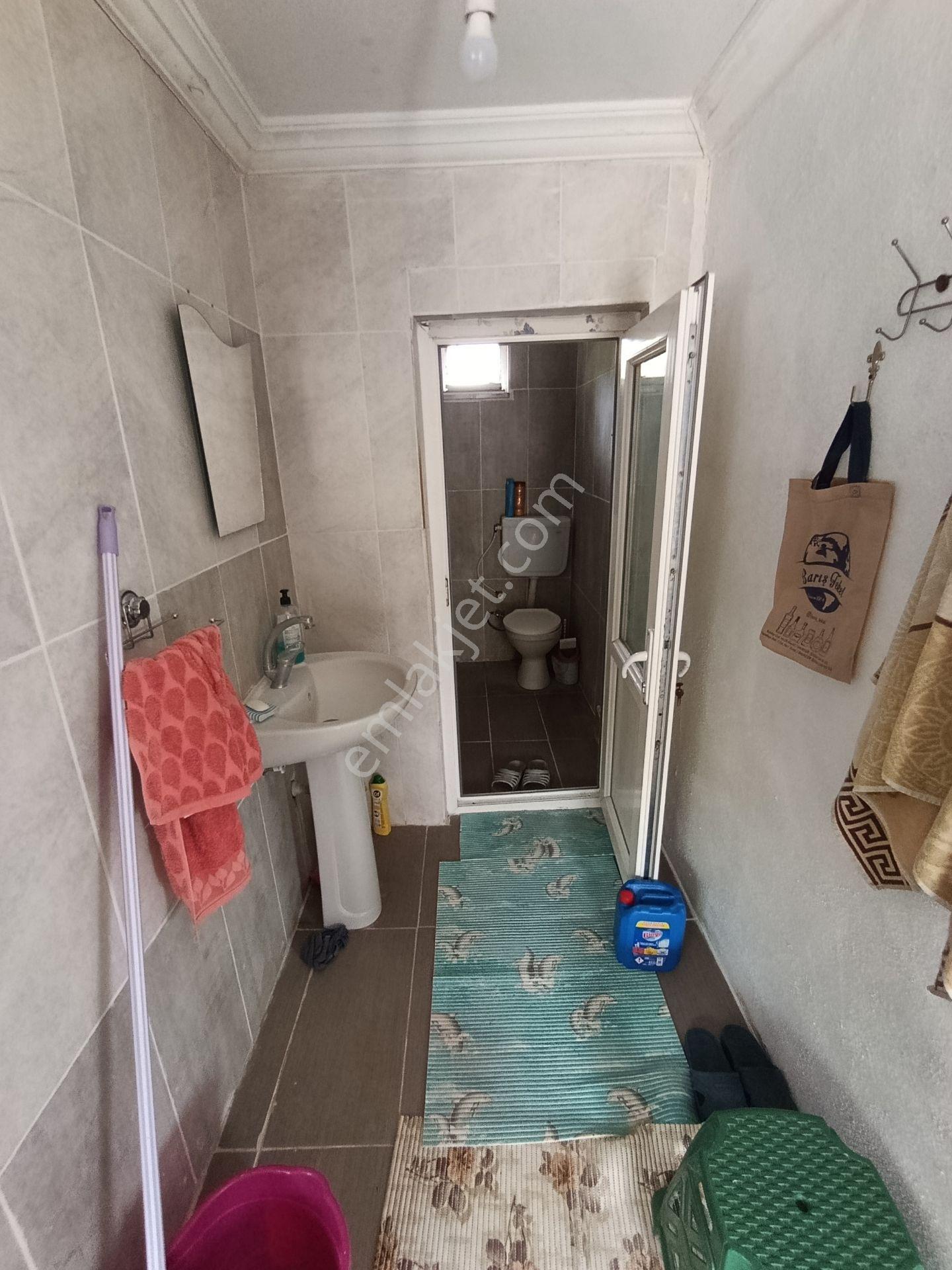 Balıkesir Bigadiç Çağışta Chandler Ceviz Bahçesi — fotoğraf 20