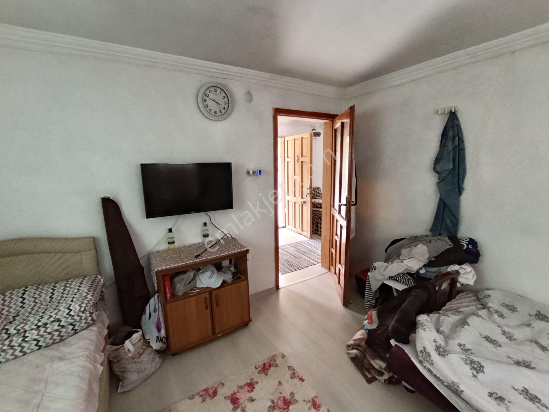 Balıkesir Bigadiç Çağışta Chandler Ceviz Bahçesi — fotoğraf 21