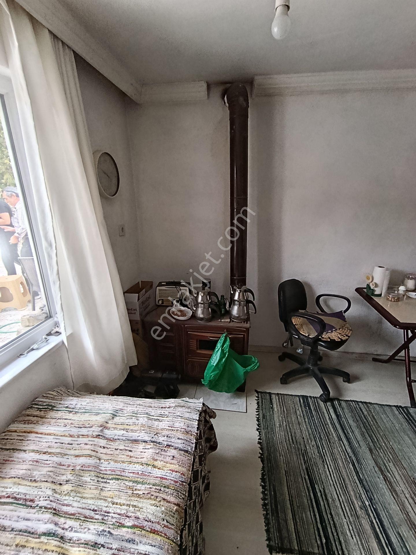 Balıkesir Bigadiç Çağışta Chandler Ceviz Bahçesi — fotoğraf 22