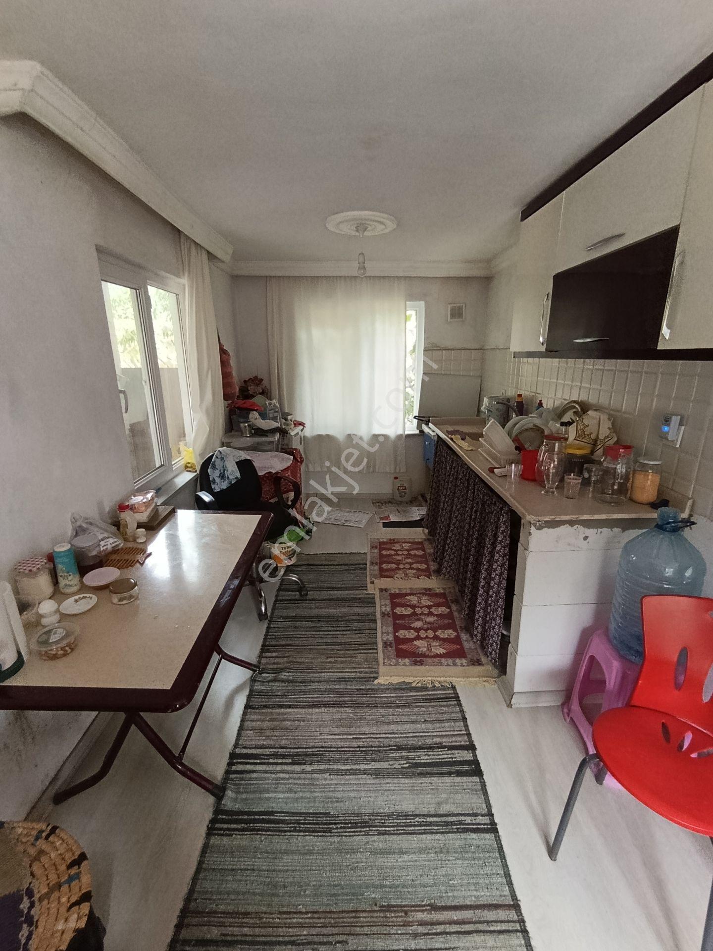 Balıkesir Bigadiç Çağışta Chandler Ceviz Bahçesi — fotoğraf 23