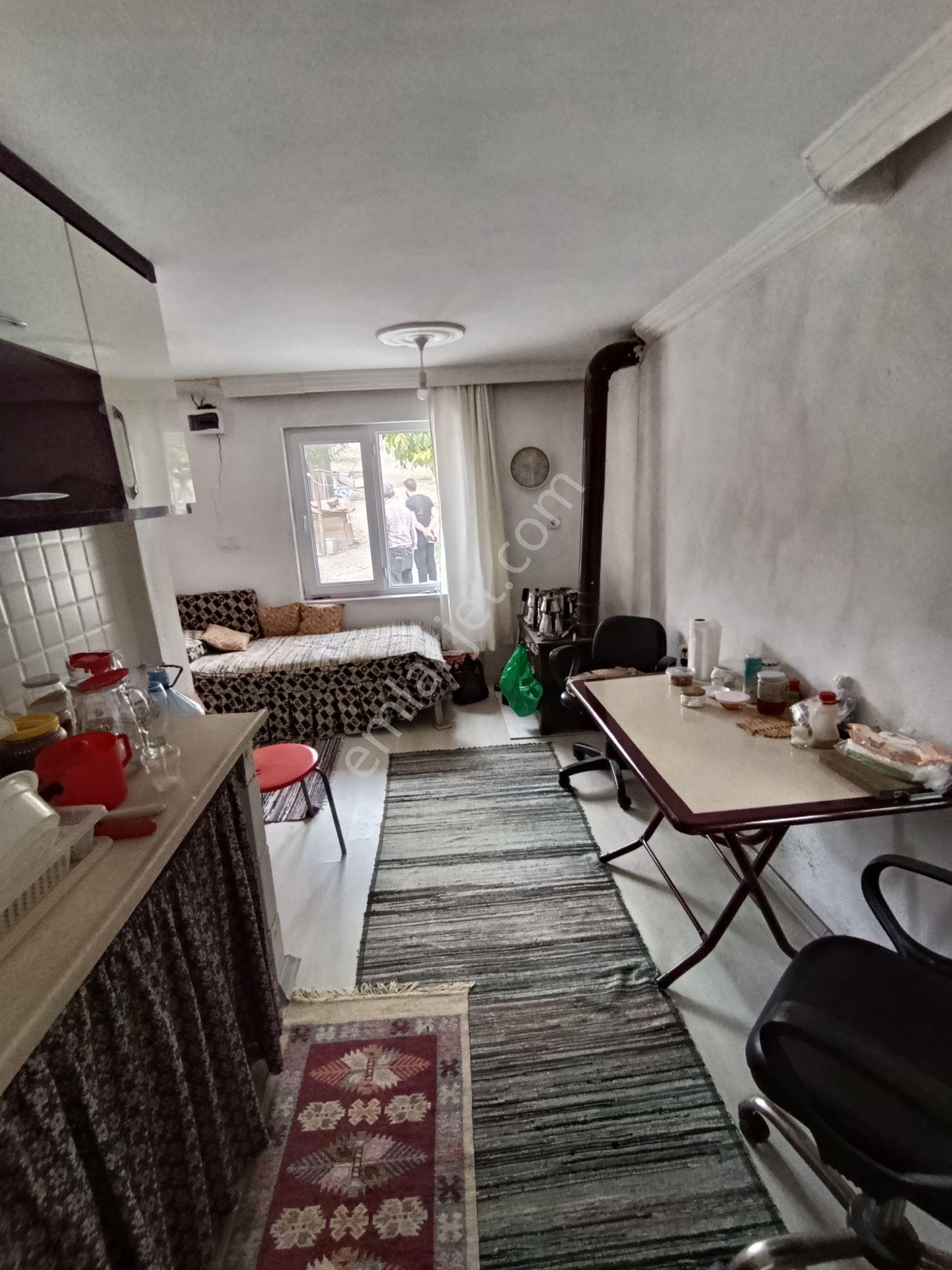 Balıkesir Bigadiç Çağışta Chandler Ceviz Bahçesi — fotoğraf 24