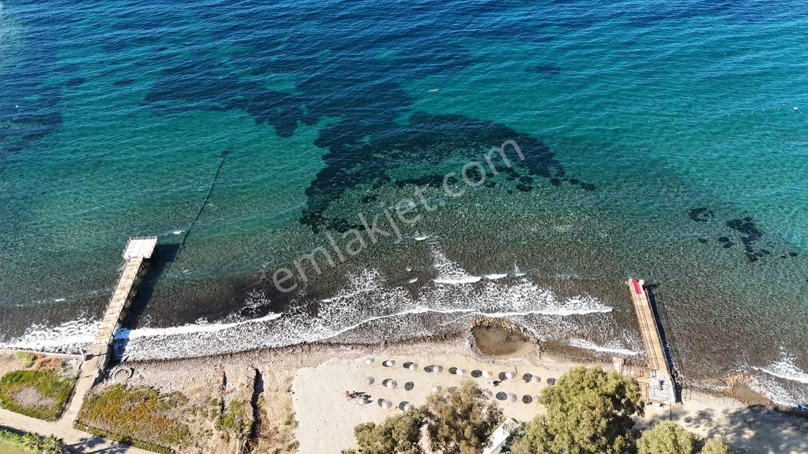 Yalıkavak'Ta Denize 150Mt Geniş Bahçeli Müstakil Havuzlu Villa