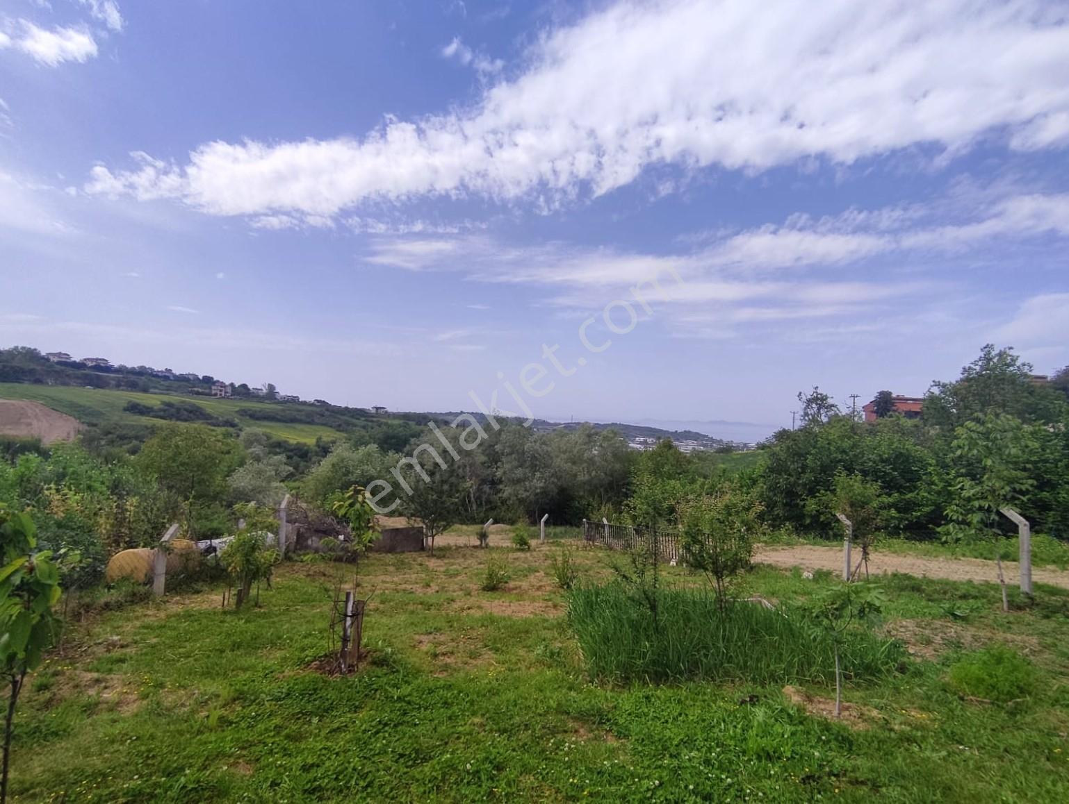 Akköy Mükemmel Deniz-doğa Manzaralı 1145 M2 Villa + Stüdyo Daire — fotoğraf 3