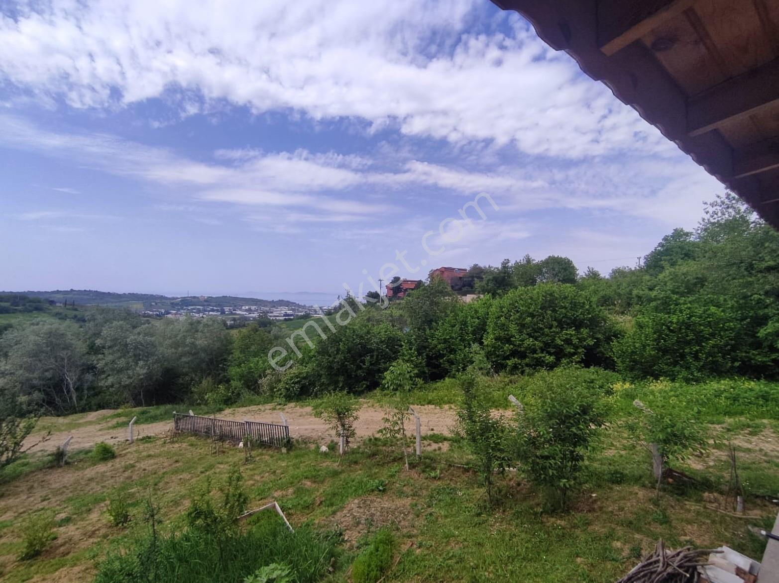 Akköy Mükemmel Deniz-doğa Manzaralı 1145 M2 Villa + Stüdyo Daire — fotoğraf 5
