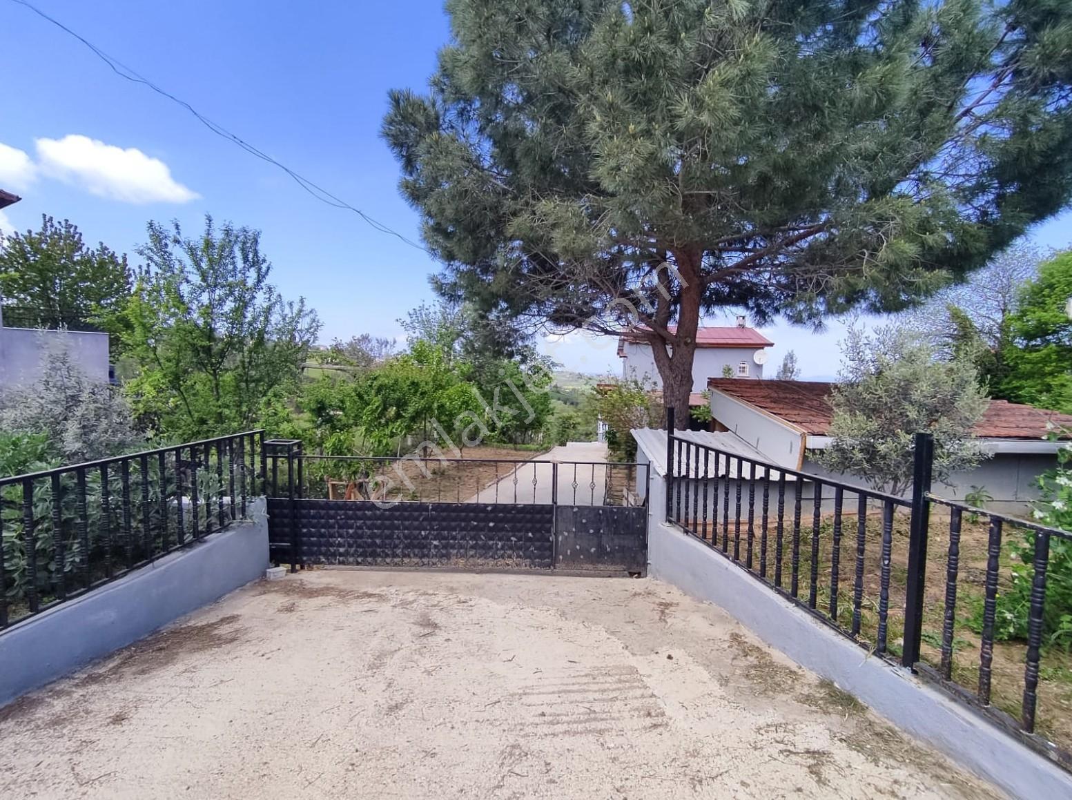 Akköy Mükemmel Deniz-doğa Manzaralı 1145 M2 Villa + Stüdyo Daire — fotoğraf 6