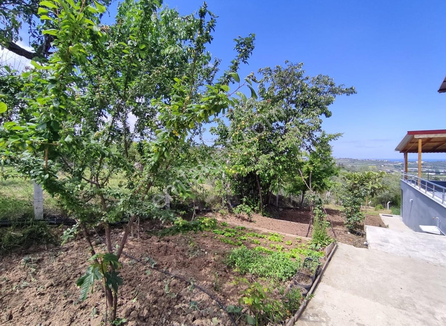 Akköy Mükemmel Deniz-doğa Manzaralı 1145 M2 Villa + Stüdyo Daire — fotoğraf 8