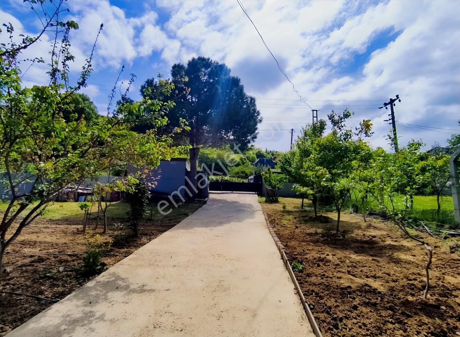 Akköy Mükemmel Deniz-doğa Manzaralı 1145 M2 Villa + Stüdyo Daire — fotoğraf 9