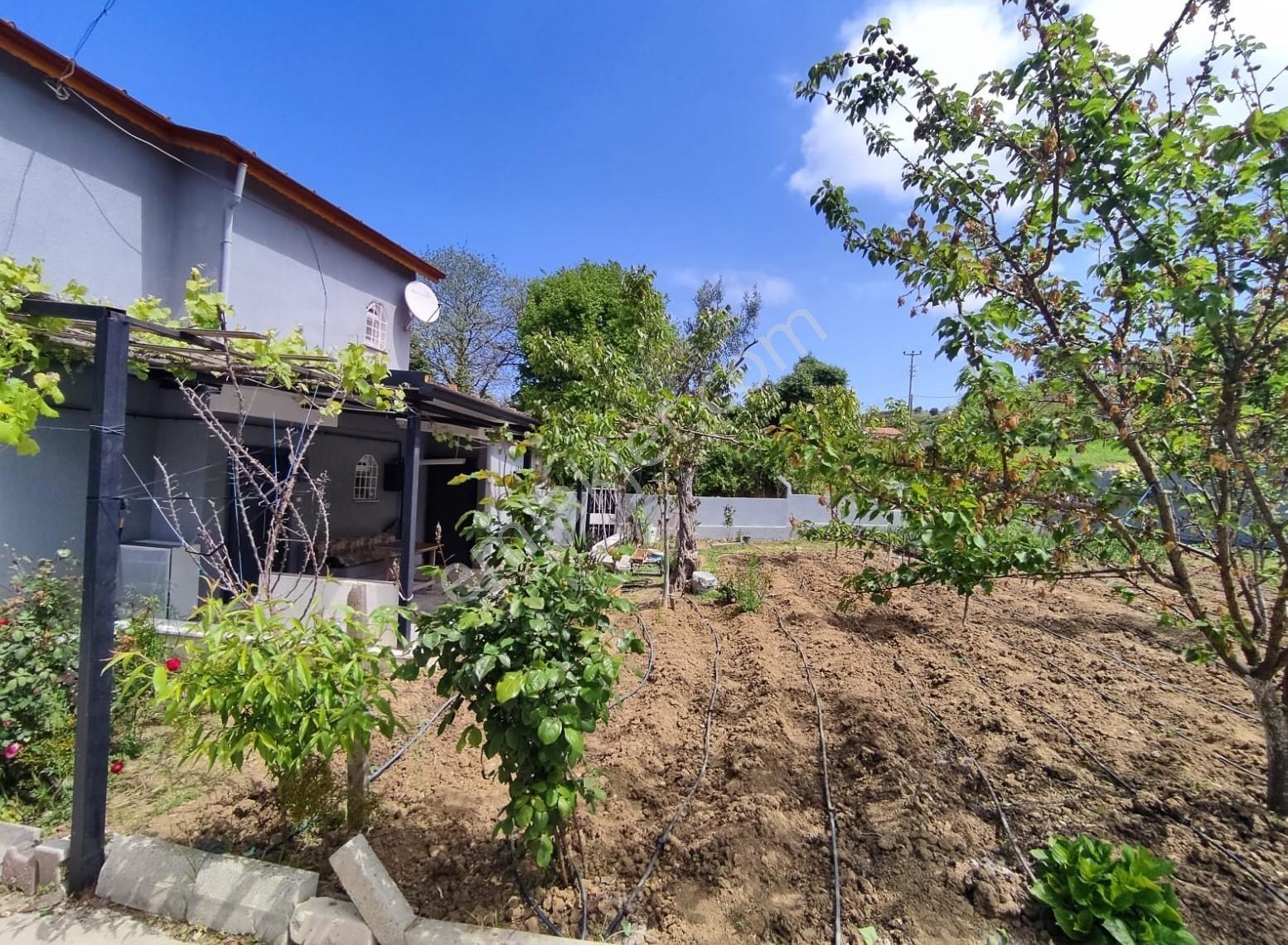 Akköy Mükemmel Deniz-doğa Manzaralı 1145 M2 Villa + Stüdyo Daire — fotoğraf 10