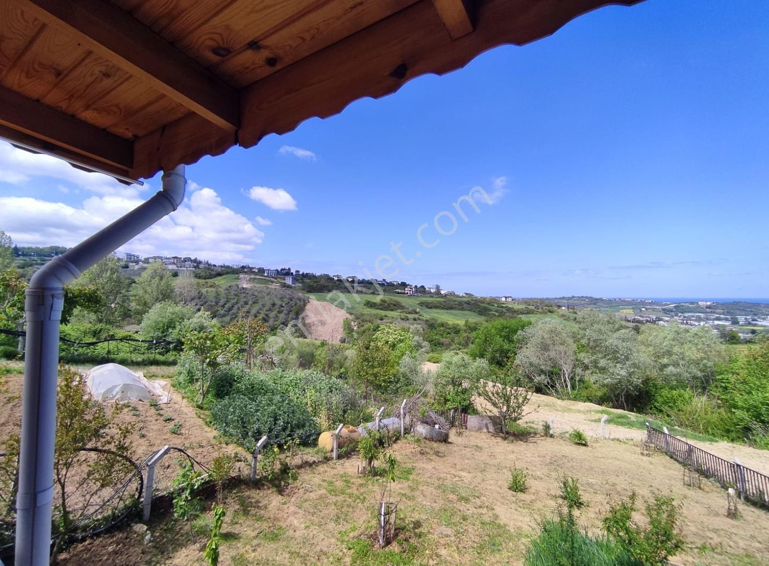 Akköy Mükemmel Deniz-doğa Manzaralı 1145 M2 Villa + Stüdyo Daire — fotoğraf 16