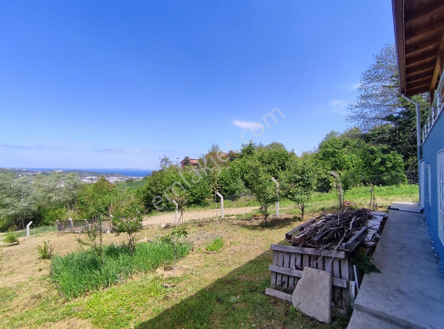 Akköy Mükemmel Deniz-doğa Manzaralı 1145 M2 Villa + Stüdyo Daire — fotoğraf 31