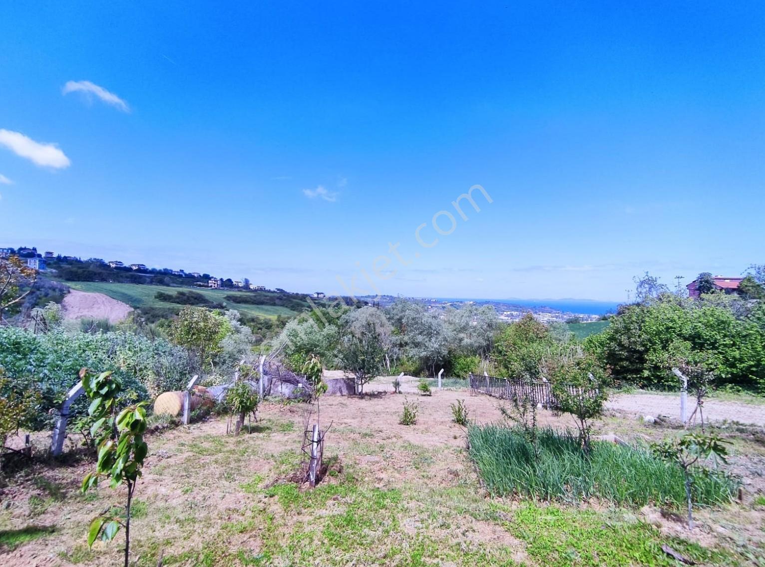 Akköy Mükemmel Deniz-doğa Manzaralı 1145 M2 Villa + Stüdyo Daire — fotoğraf 32