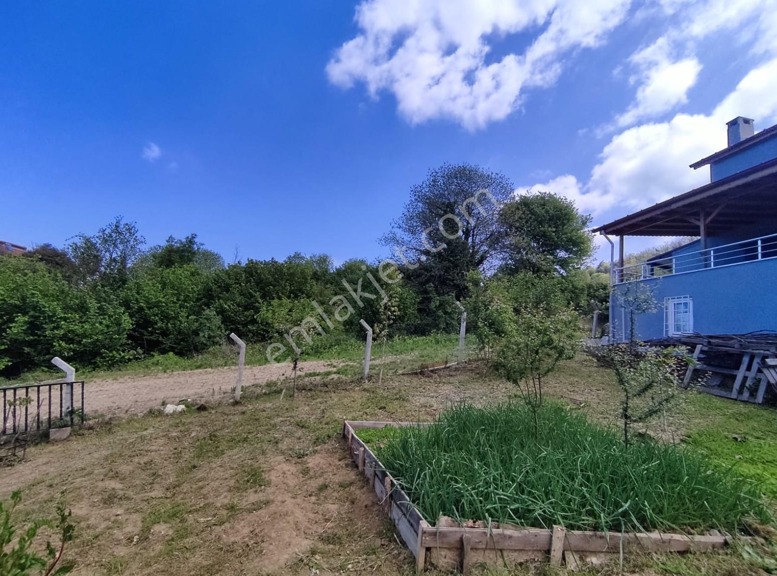 Akköy Mükemmel Deniz-doğa Manzaralı 1145 M2 Villa + Stüdyo Daire — fotoğraf 33