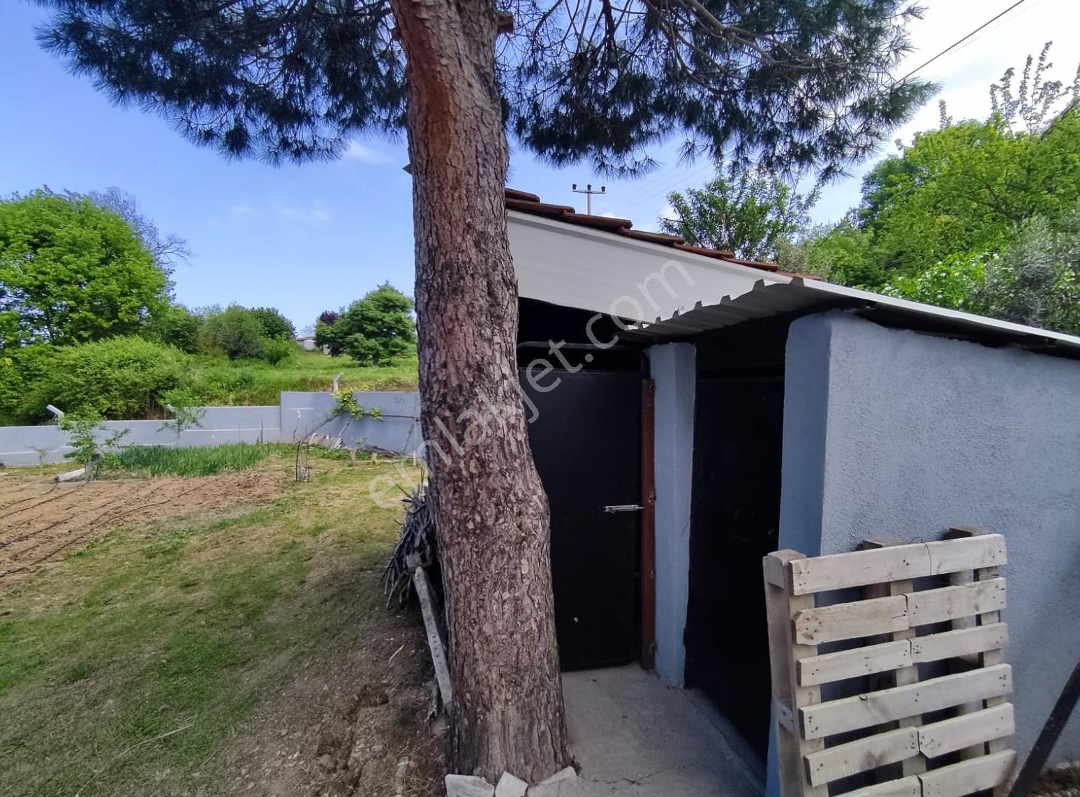 Akköy Mükemmel Deniz-doğa Manzaralı 1145 M2 Villa + Stüdyo Daire — fotoğraf 34