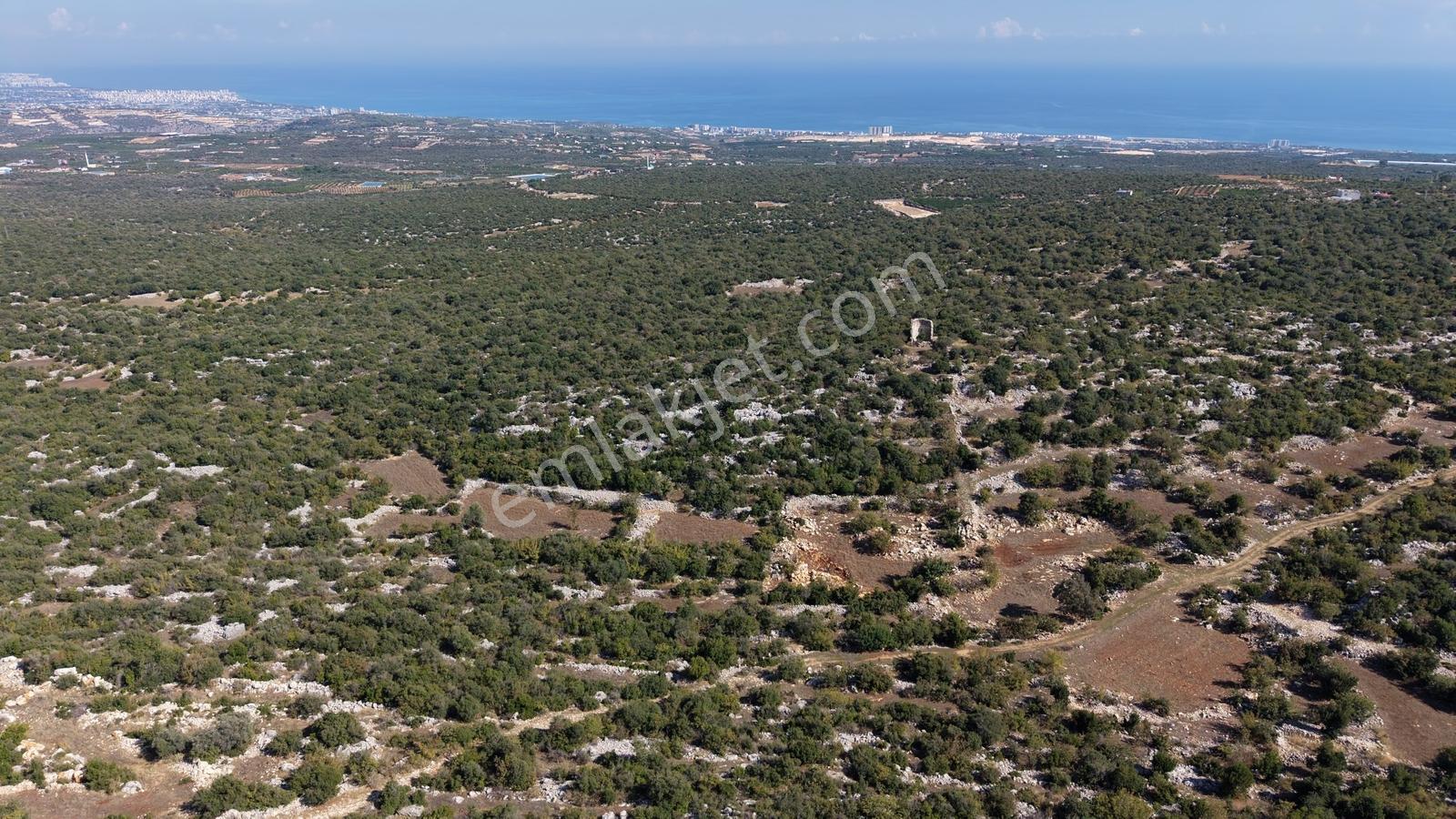 Batısandal 2930 M2 Deniz Manzaralı Arsa Denize 8km Mesafede — fotoğraf 6