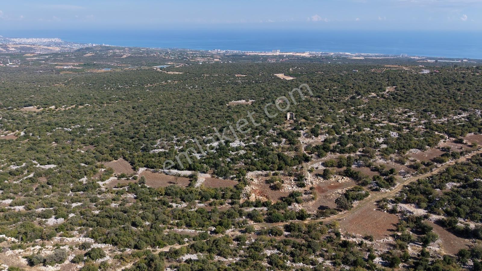 Batısandal 2930 M2 Deniz Manzaralı Arsa Denize 8km Mesafede — fotoğraf 7