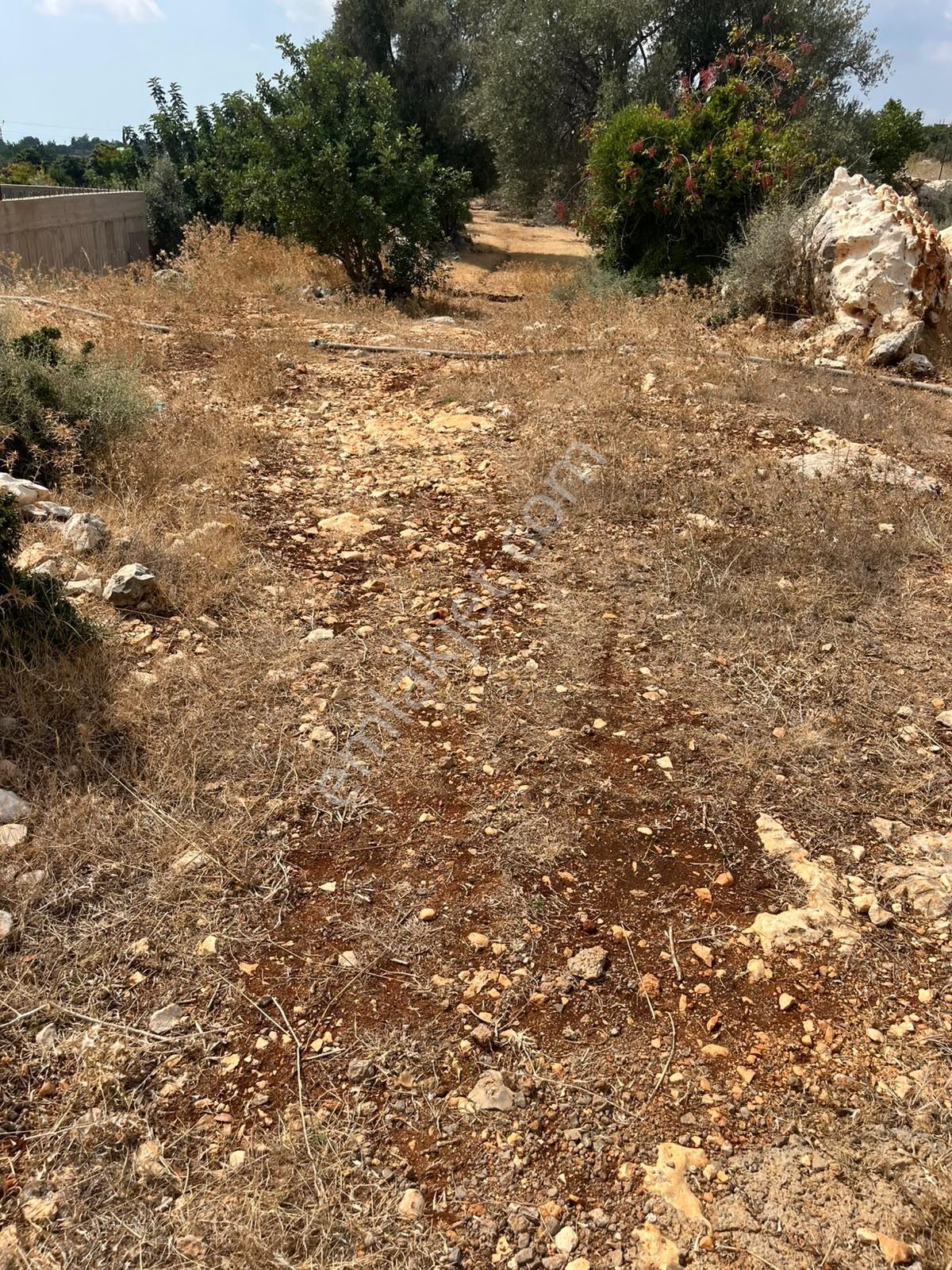 Silifke Kızılisalı Deniz Manzaralı Satılık 1604m2 Narlıkuya 4km — fotoğraf 6