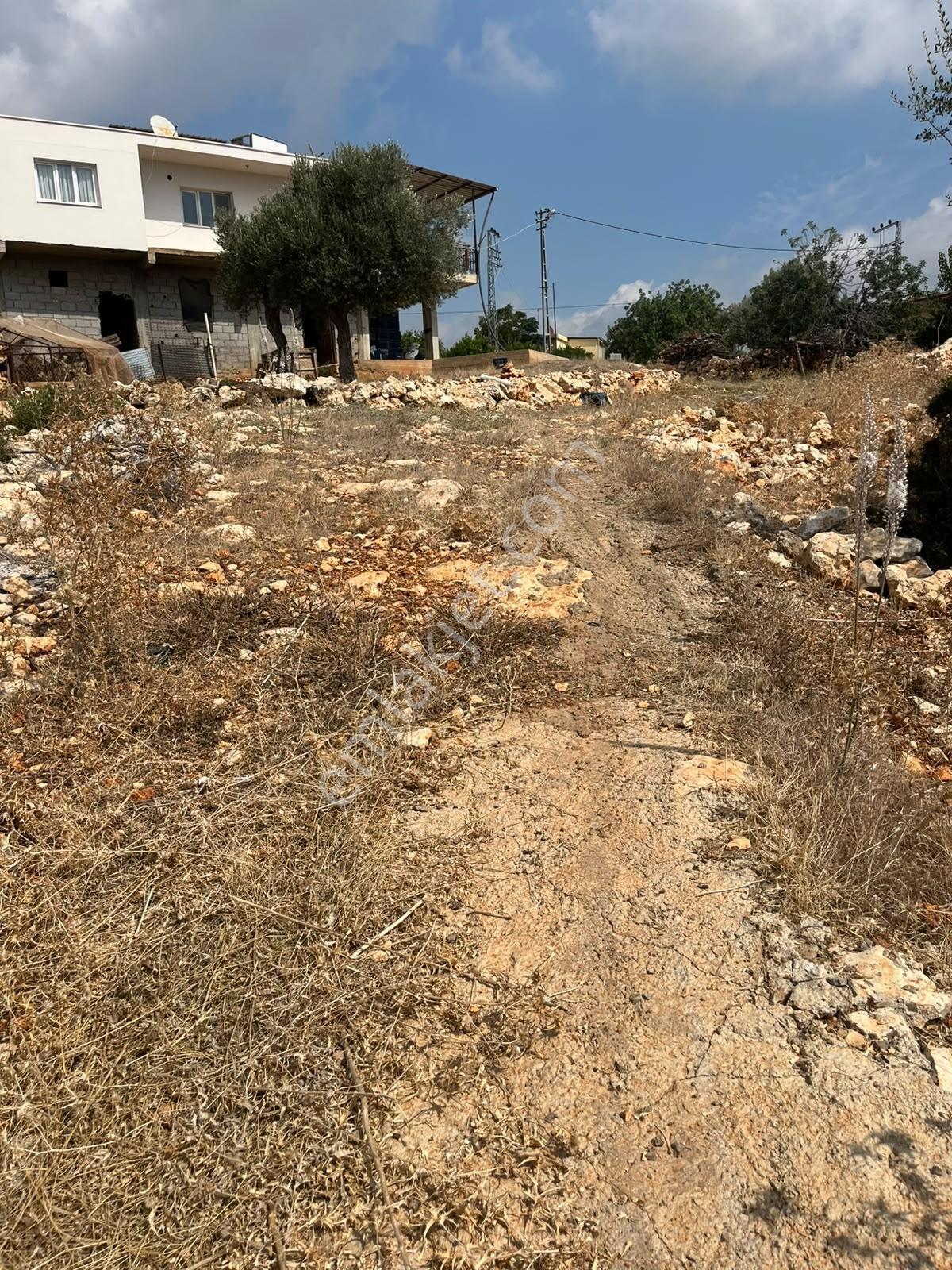 Silifke Kızılisalı Deniz Manzaralı Satılık 1604m2 Narlıkuya 4km — fotoğraf 8