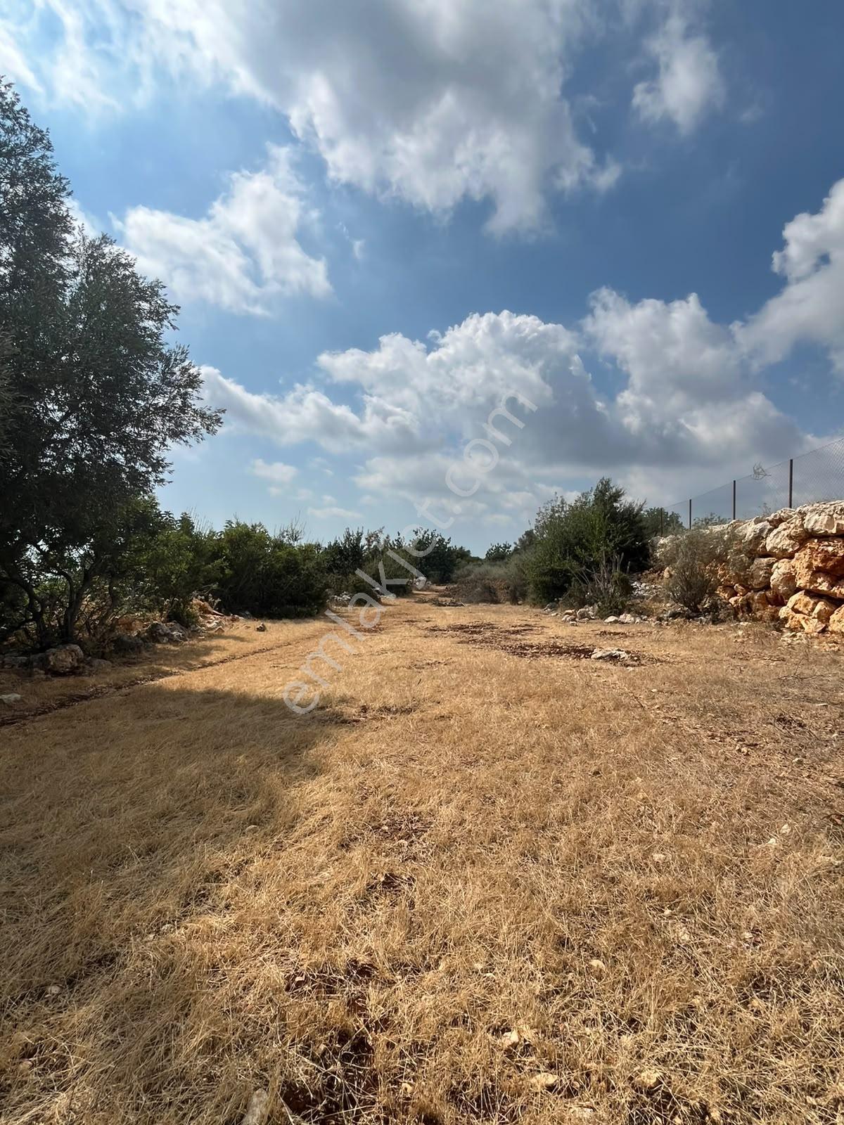 Silifke Kızılisalı Deniz Manzaralı Satılık 1604m2 Narlıkuya 4km — fotoğraf 9