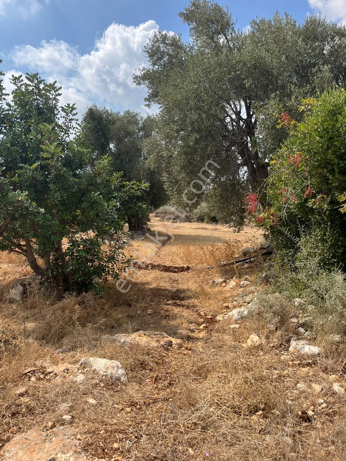 Silifke Kızılisalı Deniz Manzaralı Satılık 1604m2 Narlıkuya 4km — fotoğraf 10