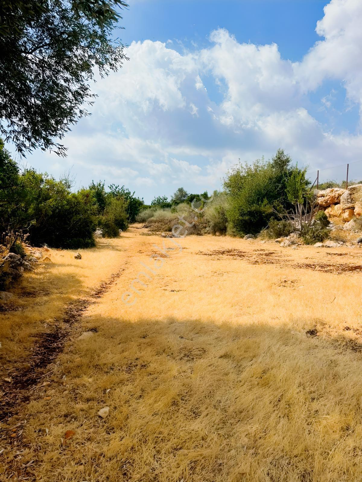 Silifke Kızılisalı Deniz Manzaralı Satılık 1604m2 Narlıkuya 4km — fotoğraf 11