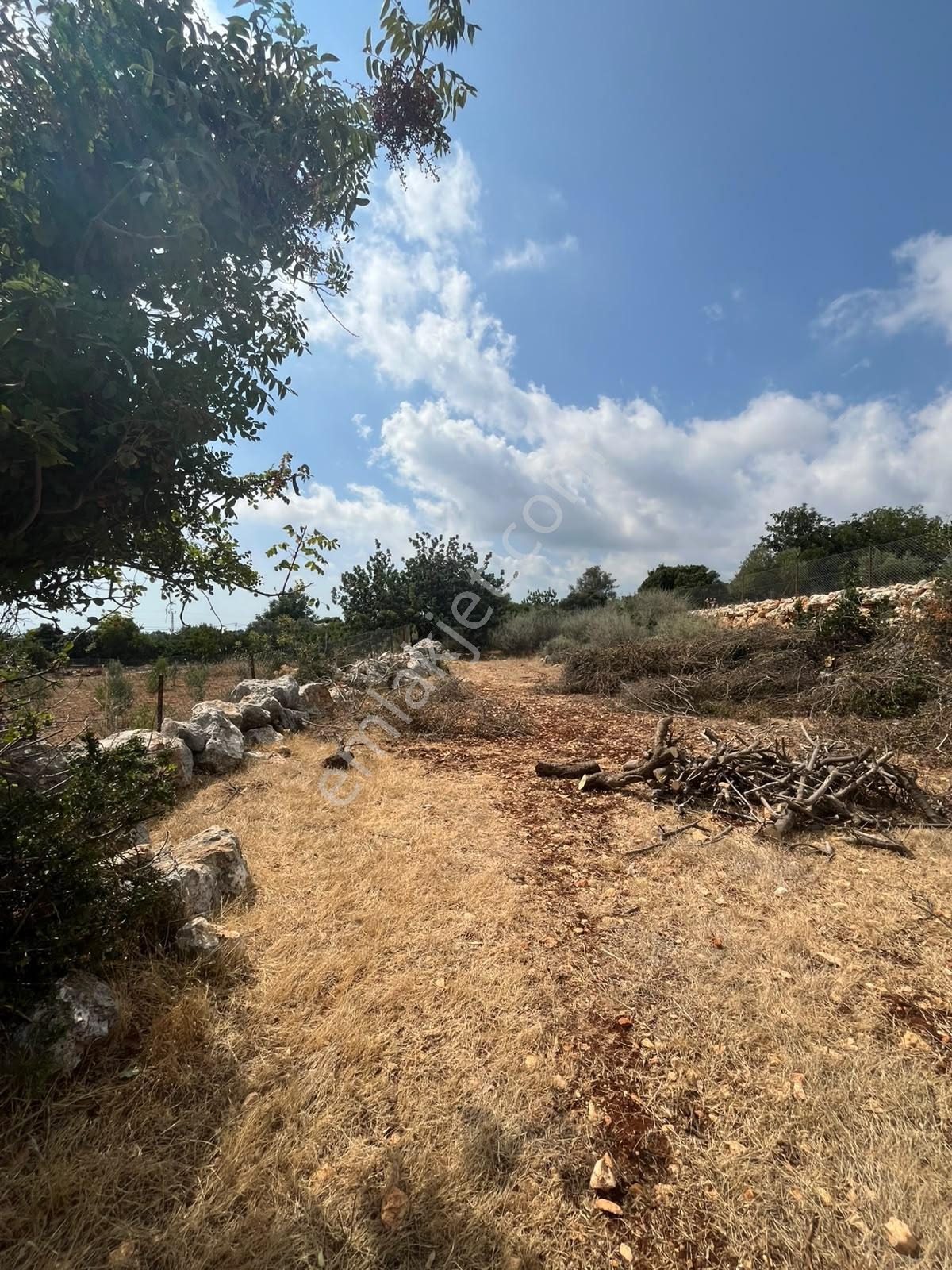 Silifke Kızılisalı Deniz Manzaralı Satılık 1604m2 Narlıkuya 4km — fotoğraf 12