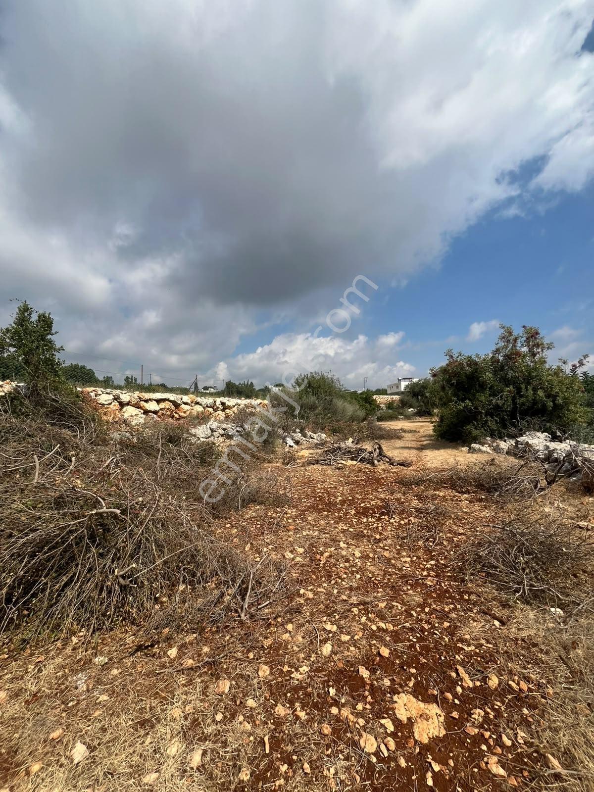 Silifke Kızılisalı Deniz Manzaralı Satılık 1604m2 Narlıkuya 4km — fotoğraf 13