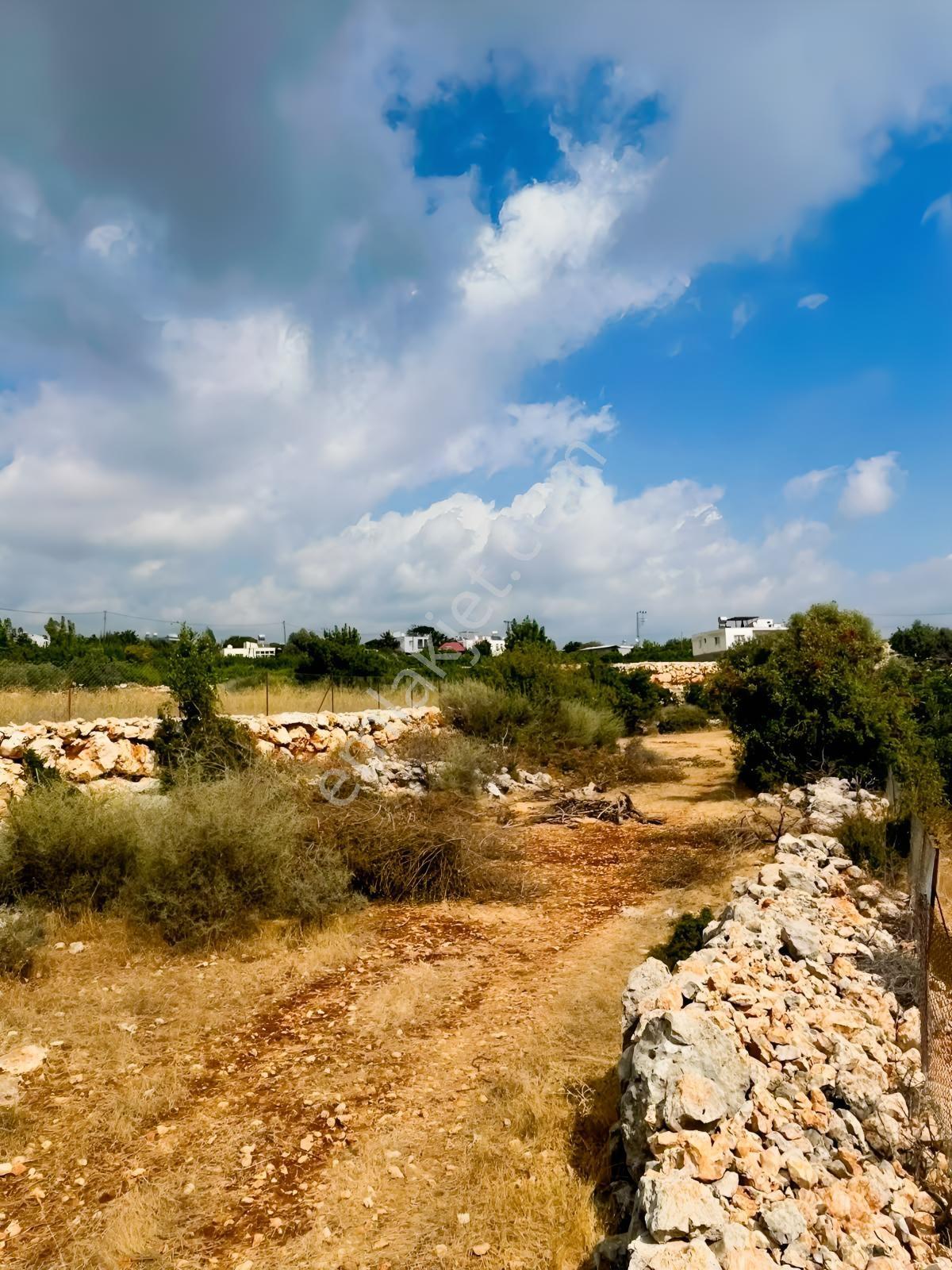 Silifke Kızılisalı Deniz Manzaralı Satılık 1604m2 Narlıkuya 4km — fotoğraf 14