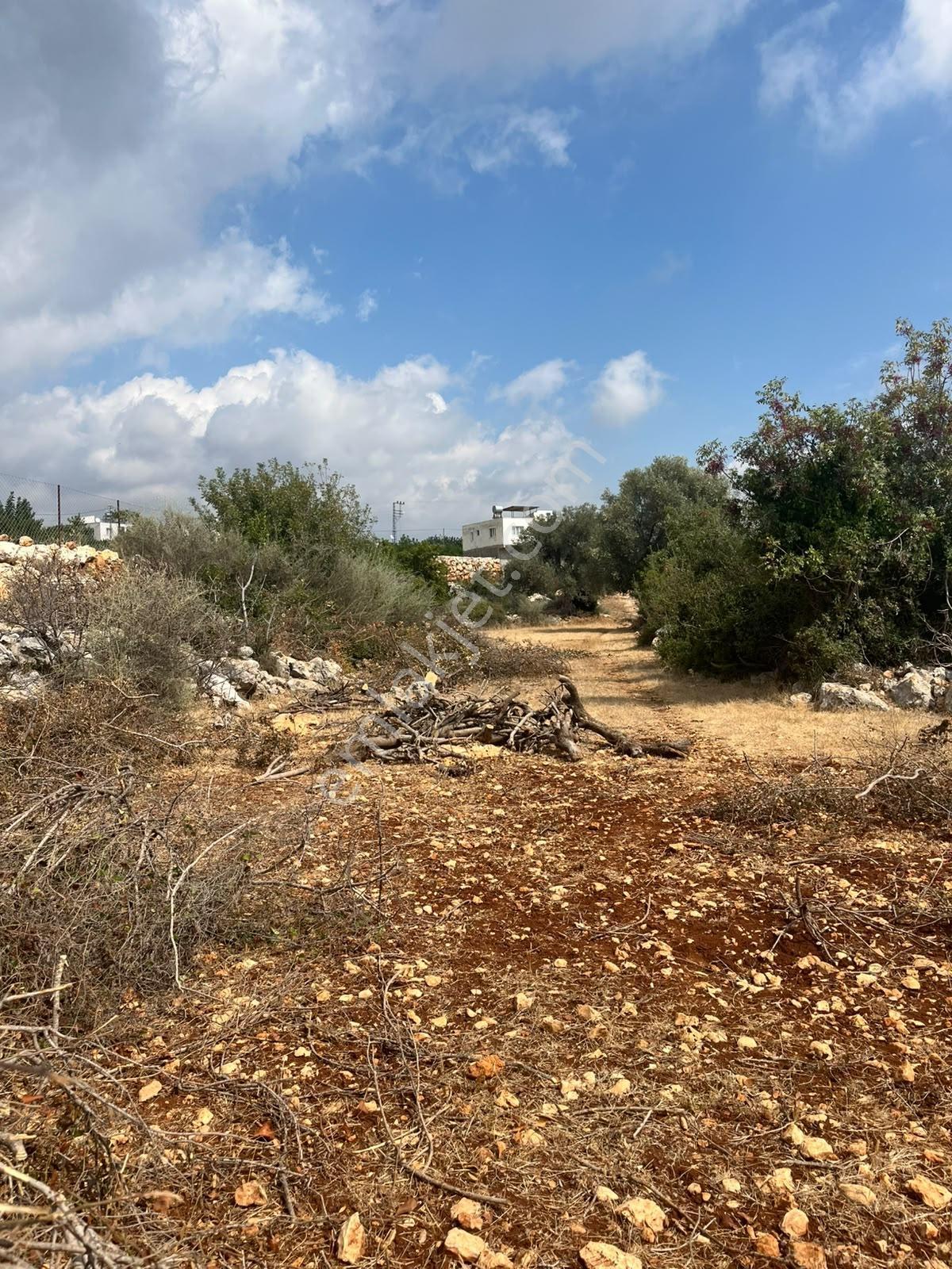 Silifke Kızılisalı Deniz Manzaralı Satılık 1604m2 Narlıkuya 4km — fotoğraf 16