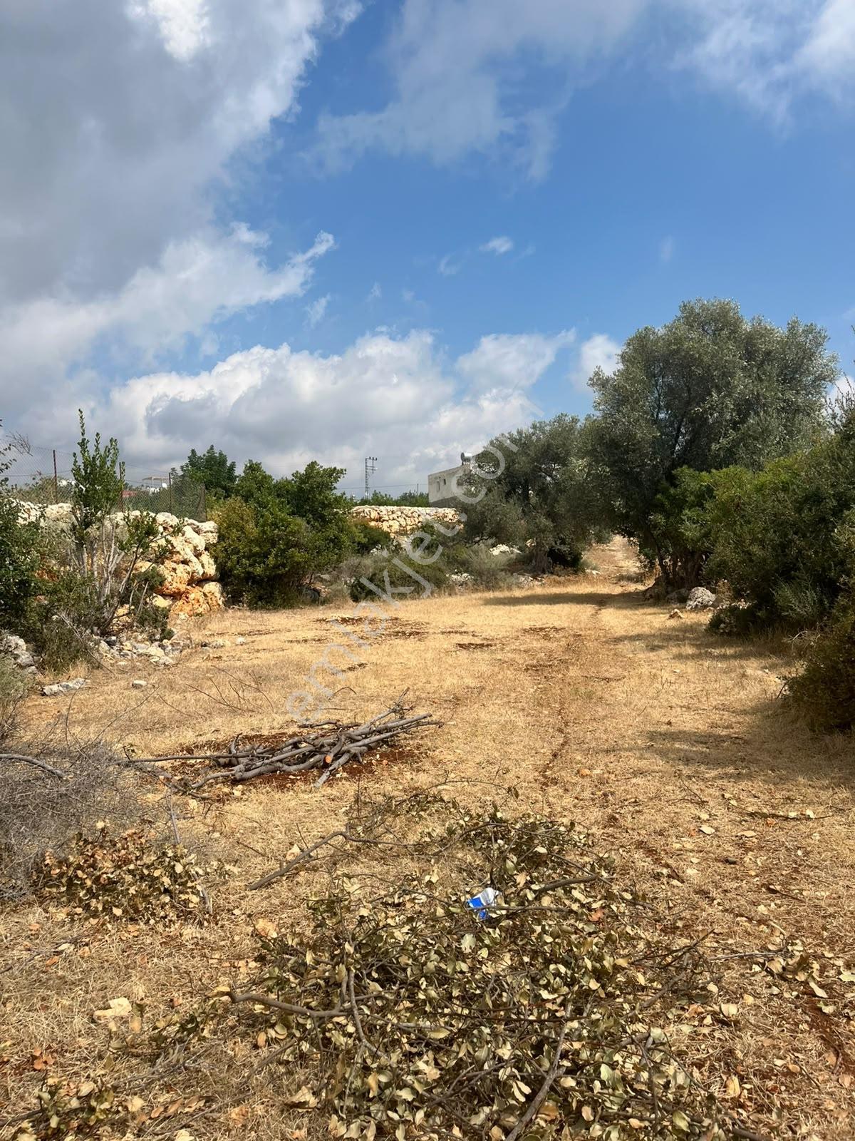 Silifke Kızılisalı Deniz Manzaralı Satılık 1604m2 Narlıkuya 4km — fotoğraf 18