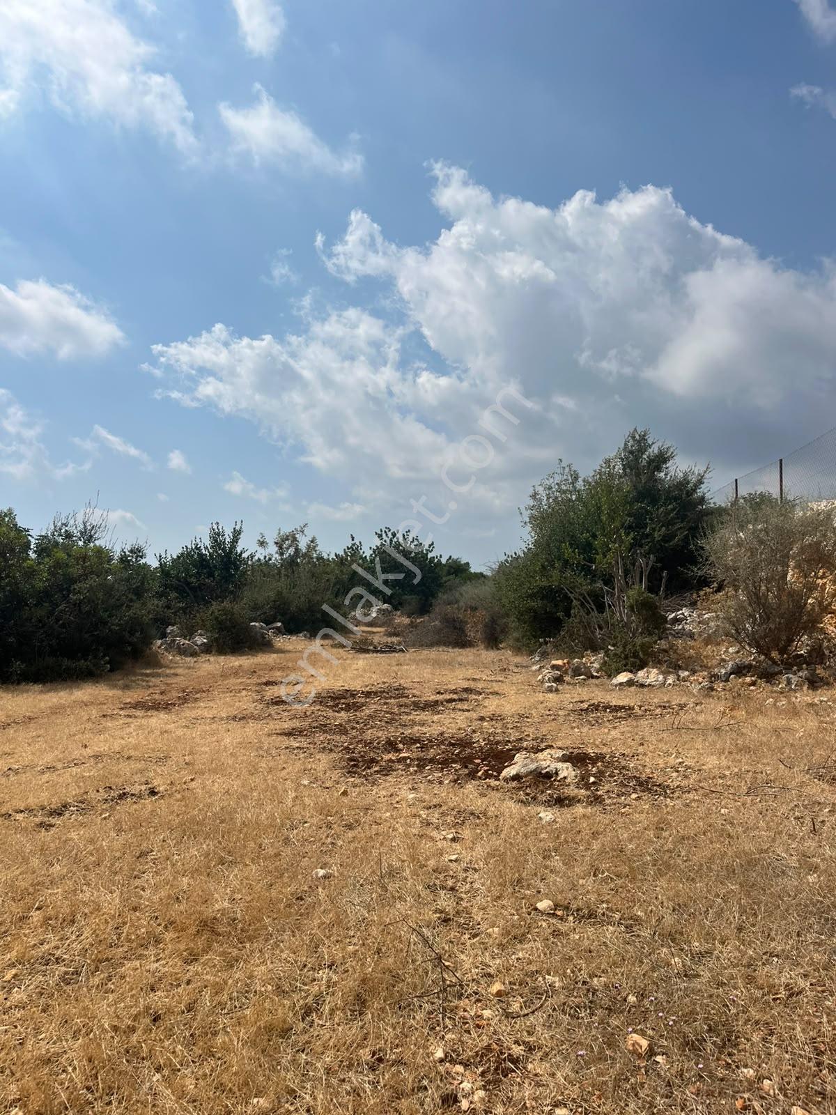 Silifke Kızılisalı Deniz Manzaralı Satılık 1604m2 Narlıkuya 4km — fotoğraf 19
