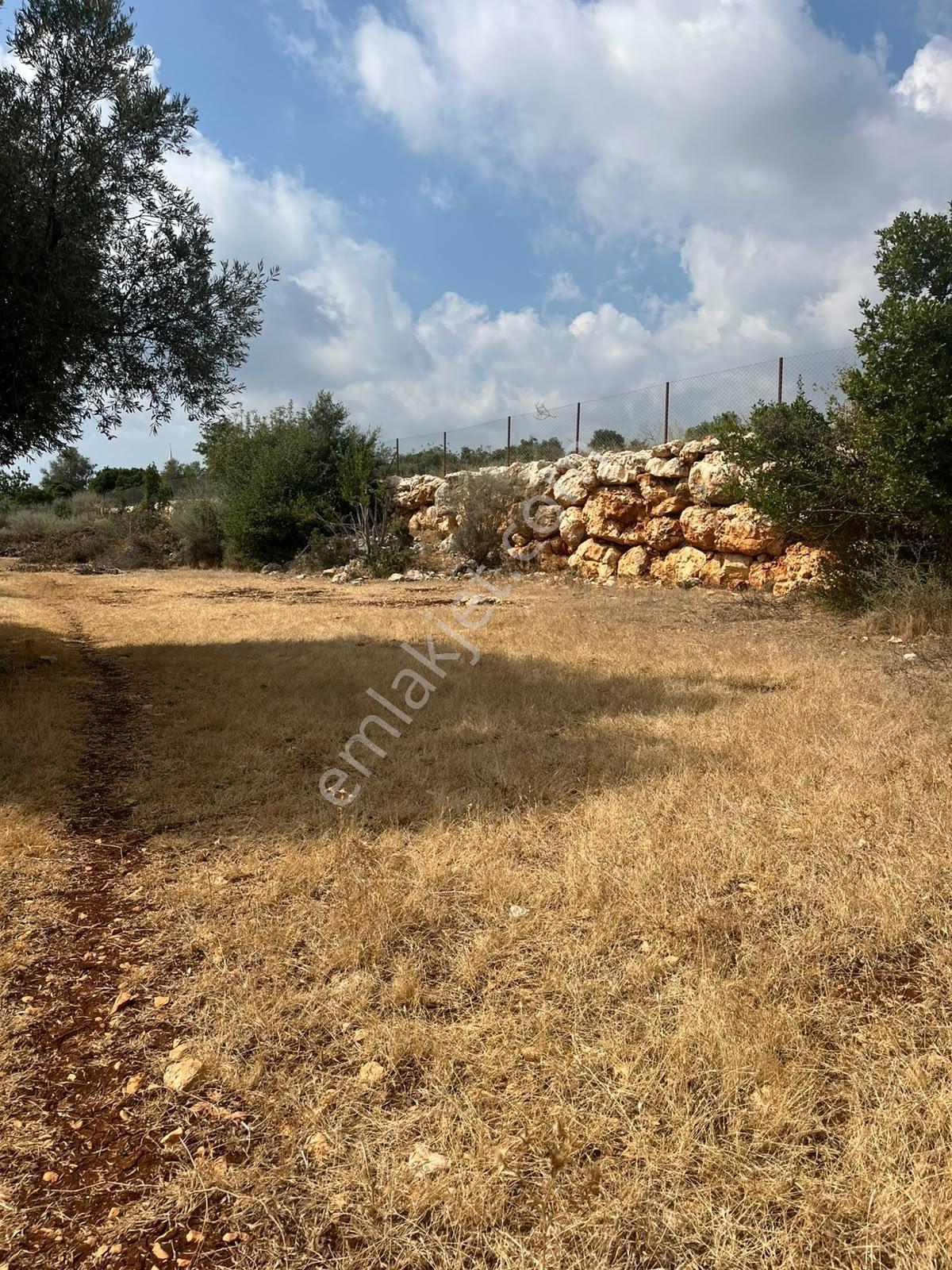 Silifke Kızılisalı Deniz Manzaralı Satılık 1604m2 Narlıkuya 4km — fotoğraf 21