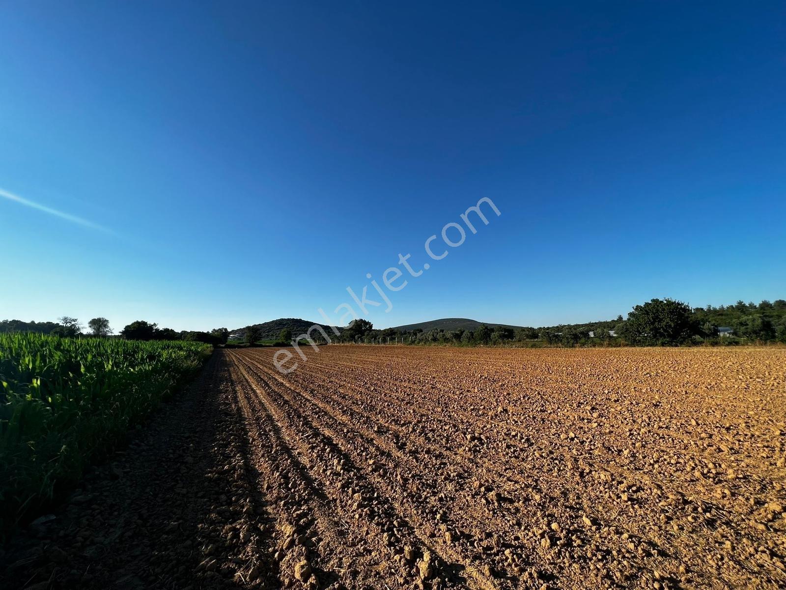 Berk Emlak'dan Menderes Ataköy 4450 M2 Satılık Tarla — fotoğraf 2