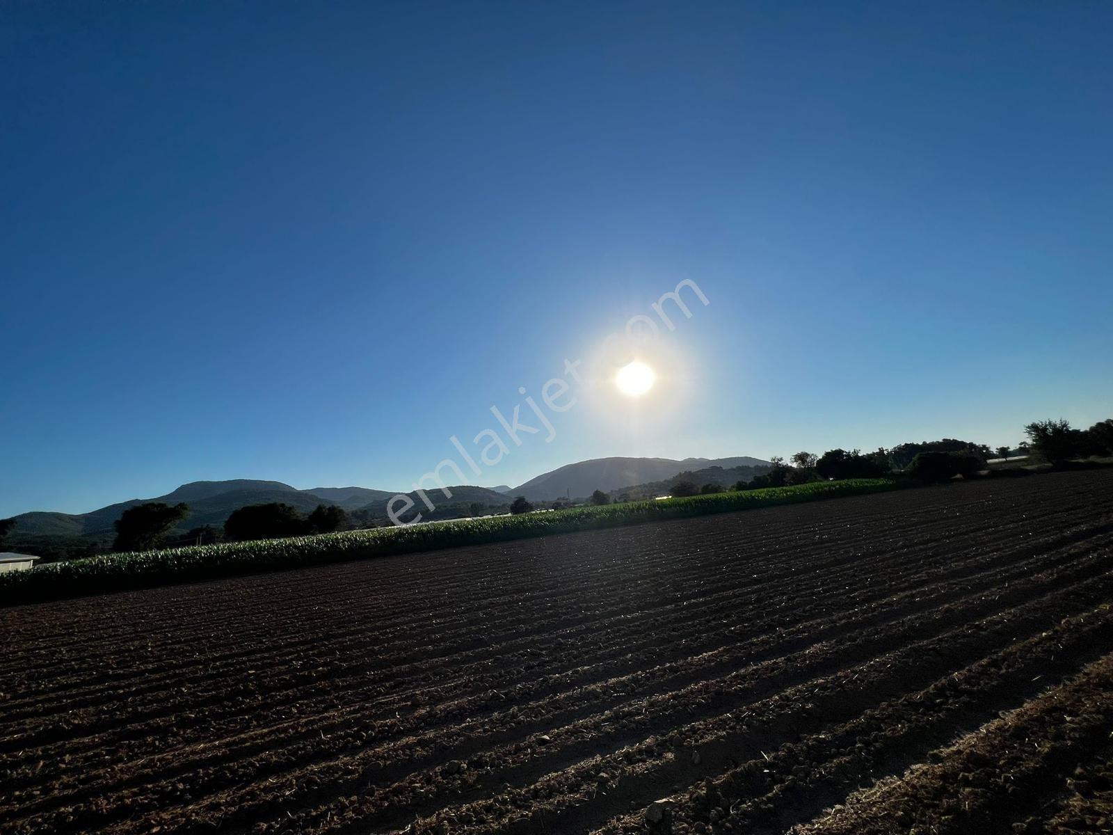 Berk Emlak'dan Menderes Ataköy 4450 M2 Satılık Tarla — fotoğraf 4