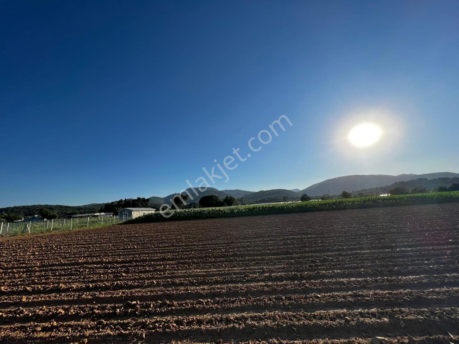 Berk Emlak'dan Menderes Ataköy 4450 M2 Satılık Tarla — fotoğraf 7