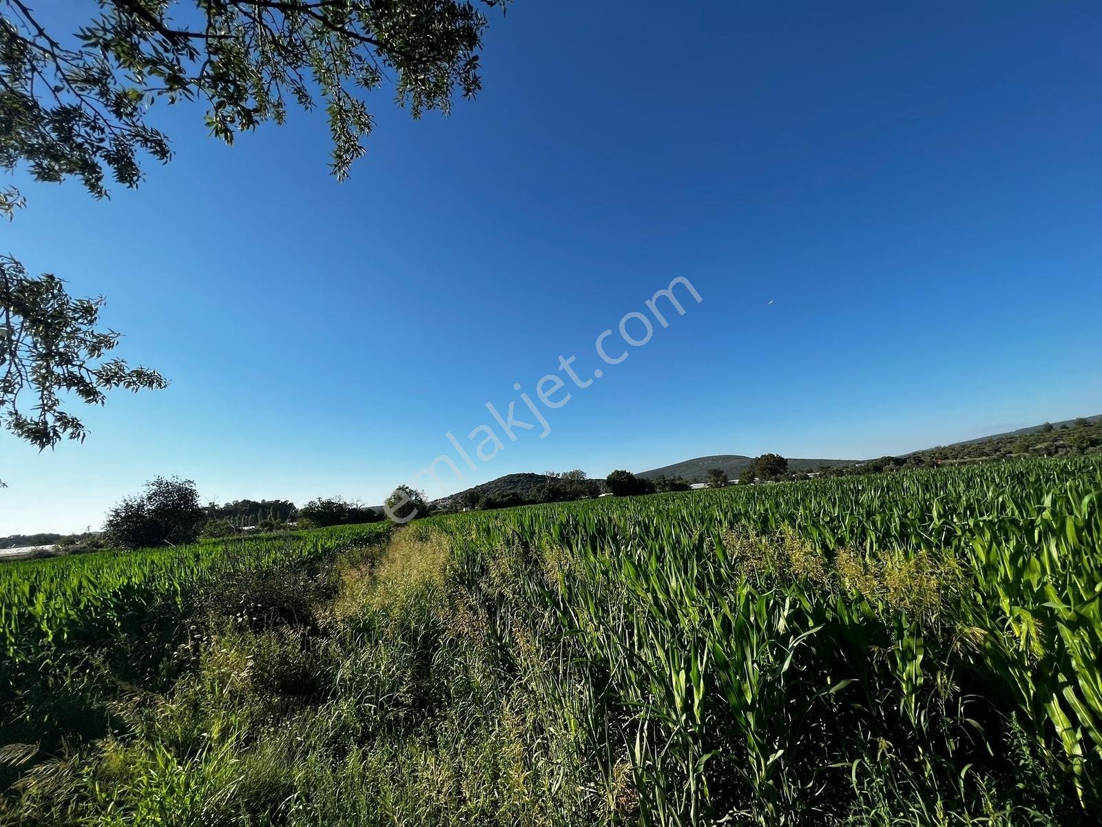 Berk Emlak'dan Menderes Ataköy 4450 M2 Satılık Tarla — fotoğraf 14