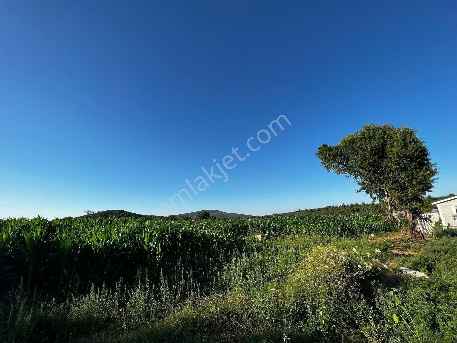 Berk Emlak'dan Menderes Ataköy 4450 M2 Satılık Tarla — fotoğraf 15