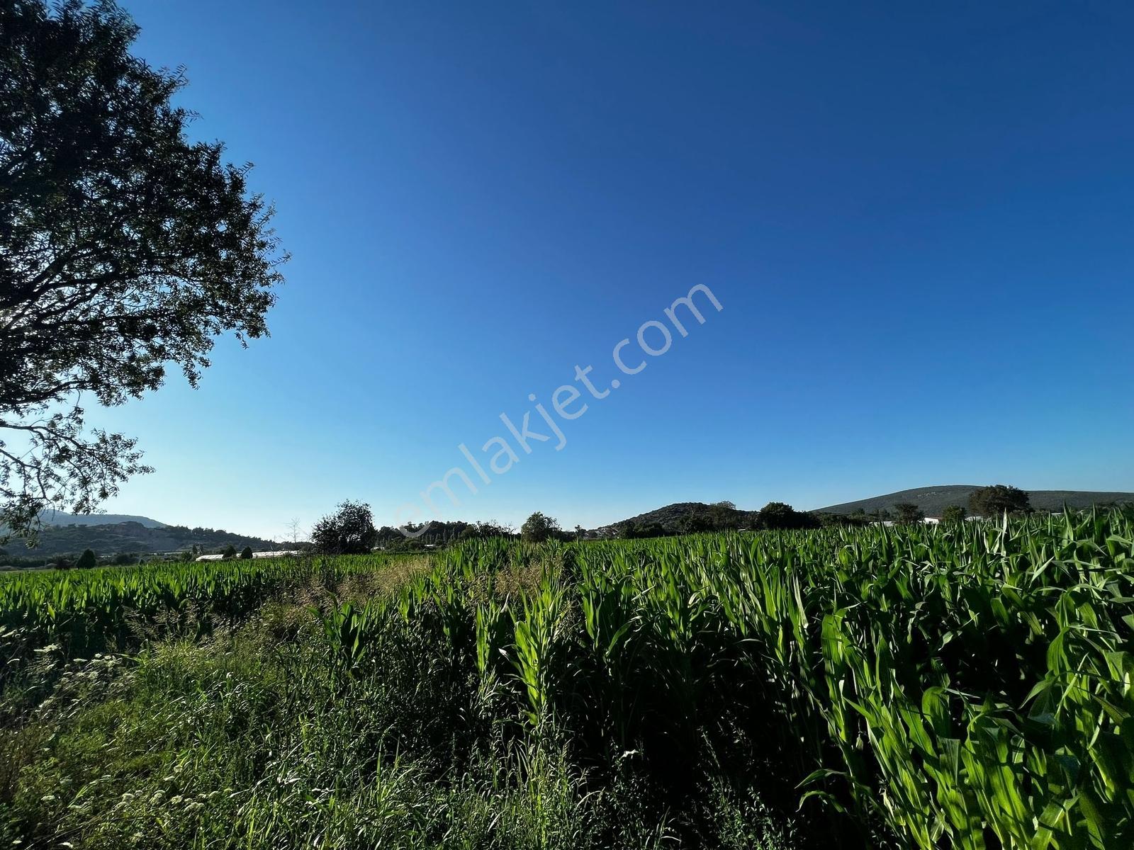 Berk Emlak'dan Menderes Ataköy 4450 M2 Satılık Tarla — fotoğraf 18