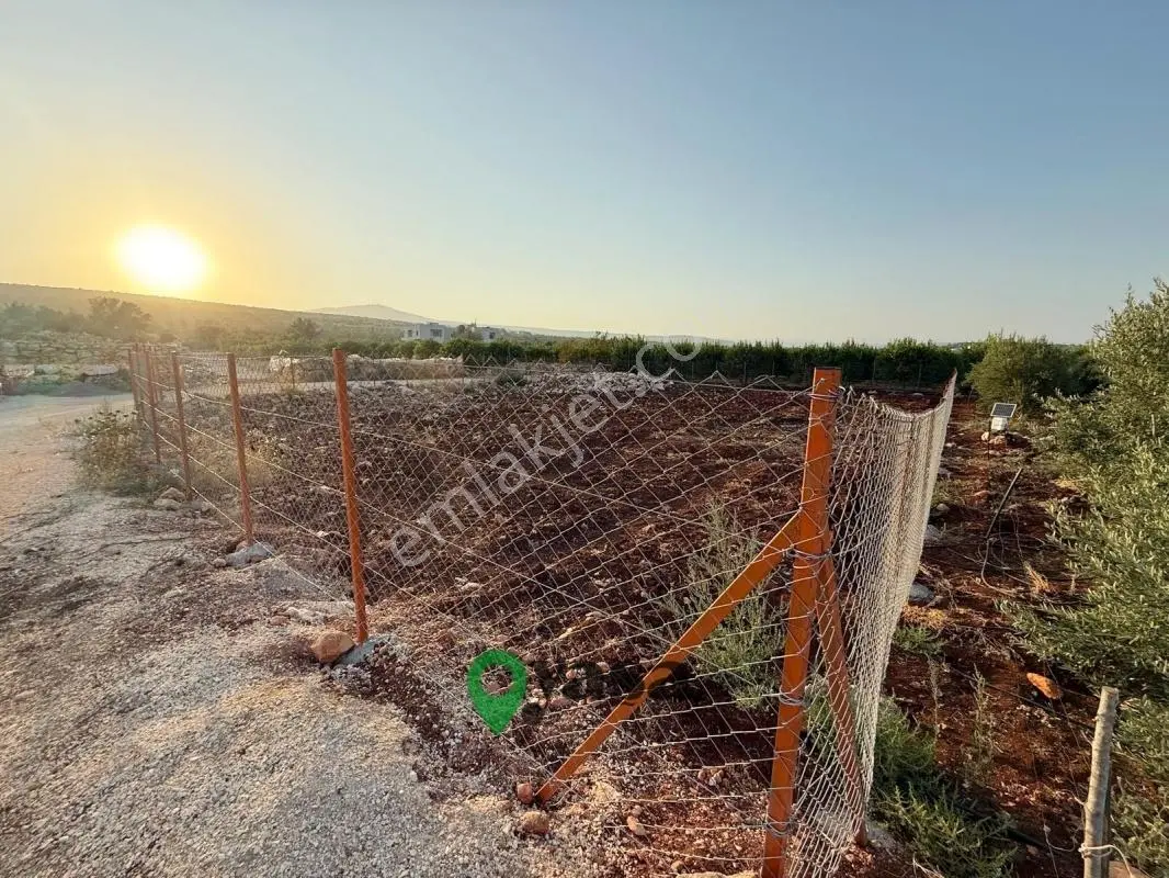 Yaşa Gyd - Batısandalda 725 M² Kadastro Yollu Köşe Parsel — fotoğraf 2