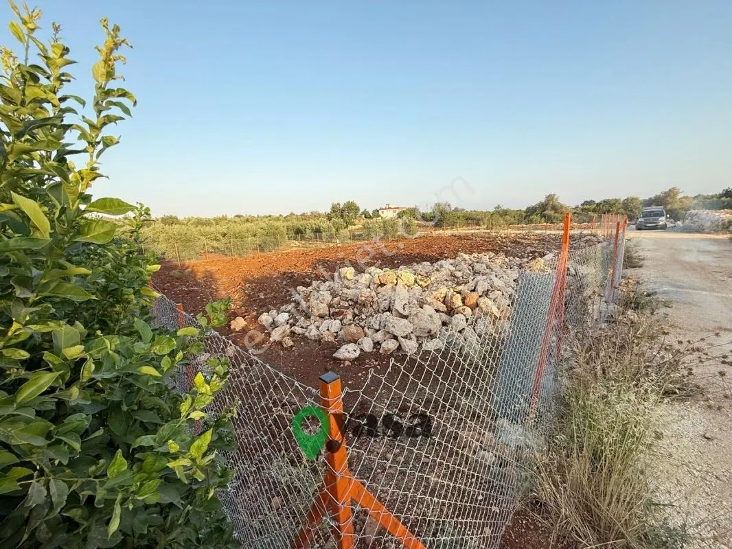 Yaşa Gyd - Batısandalda 725 M² Kadastro Yollu Köşe Parsel — fotoğraf 3