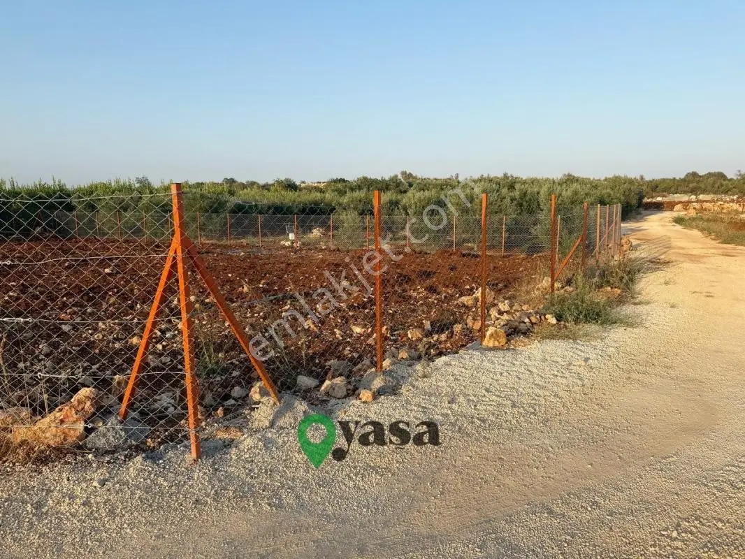 Yaşa Gyd - Batısandalda 725 M² Kadastro Yollu Köşe Parsel — fotoğraf 4