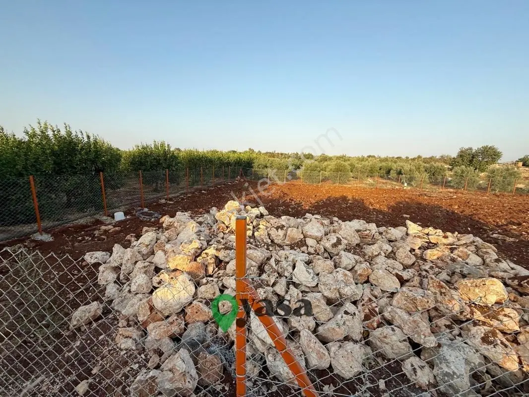 Yaşa Gyd - Batısandalda 725 M² Kadastro Yollu Köşe Parsel — fotoğraf 5