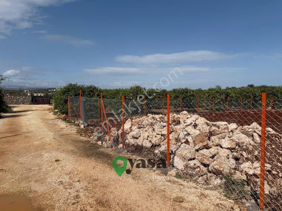 Yaşa Gyd - Batısandalda 725 M² Kadastro Yollu Köşe Parsel — fotoğraf 6